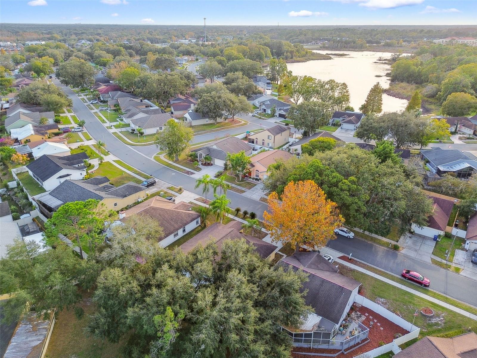 2342 TIOGA DR, LAND O LAKES, FL, 34639