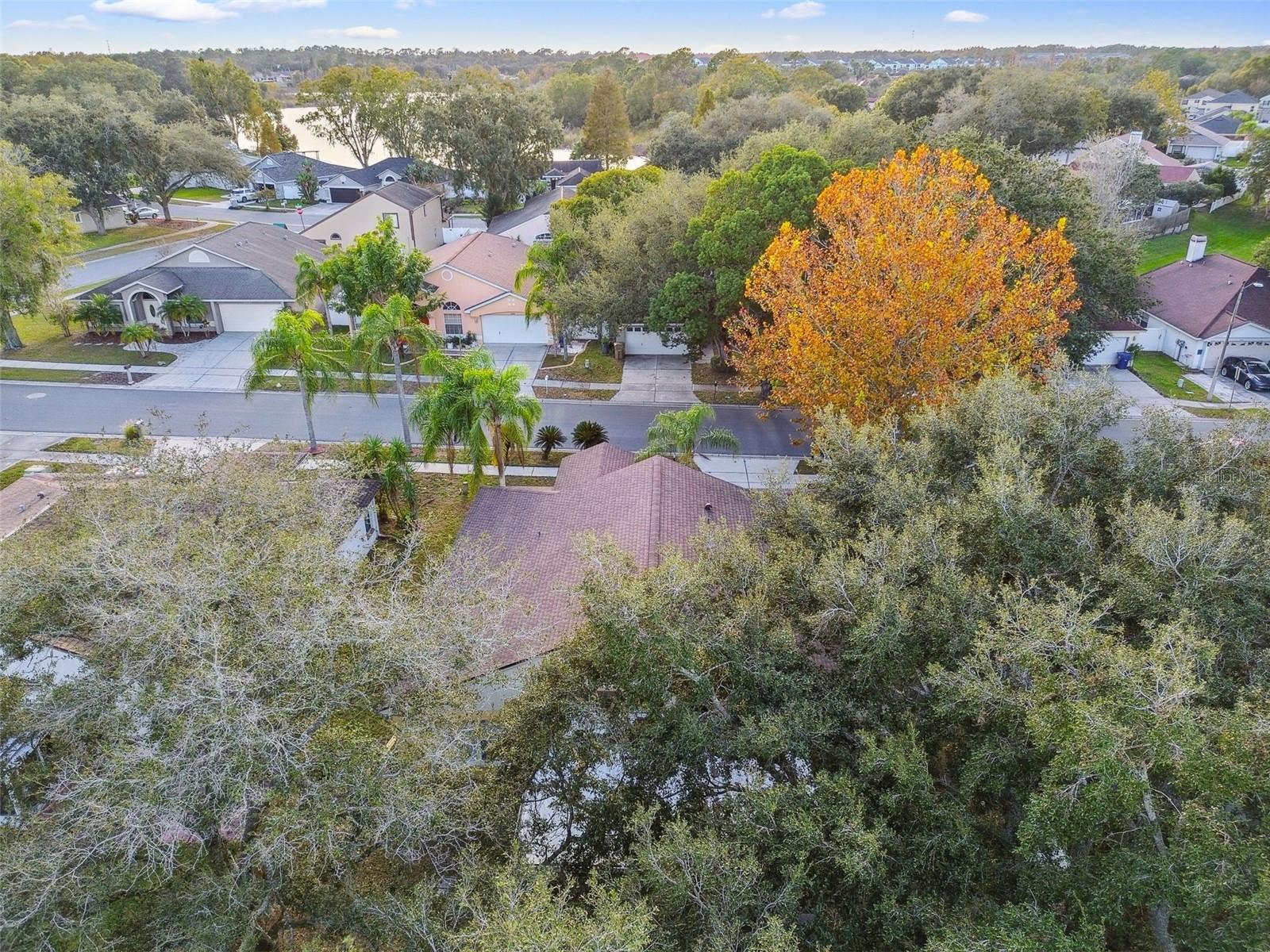 2342 TIOGA DR, LAND O LAKES, FL, 34639