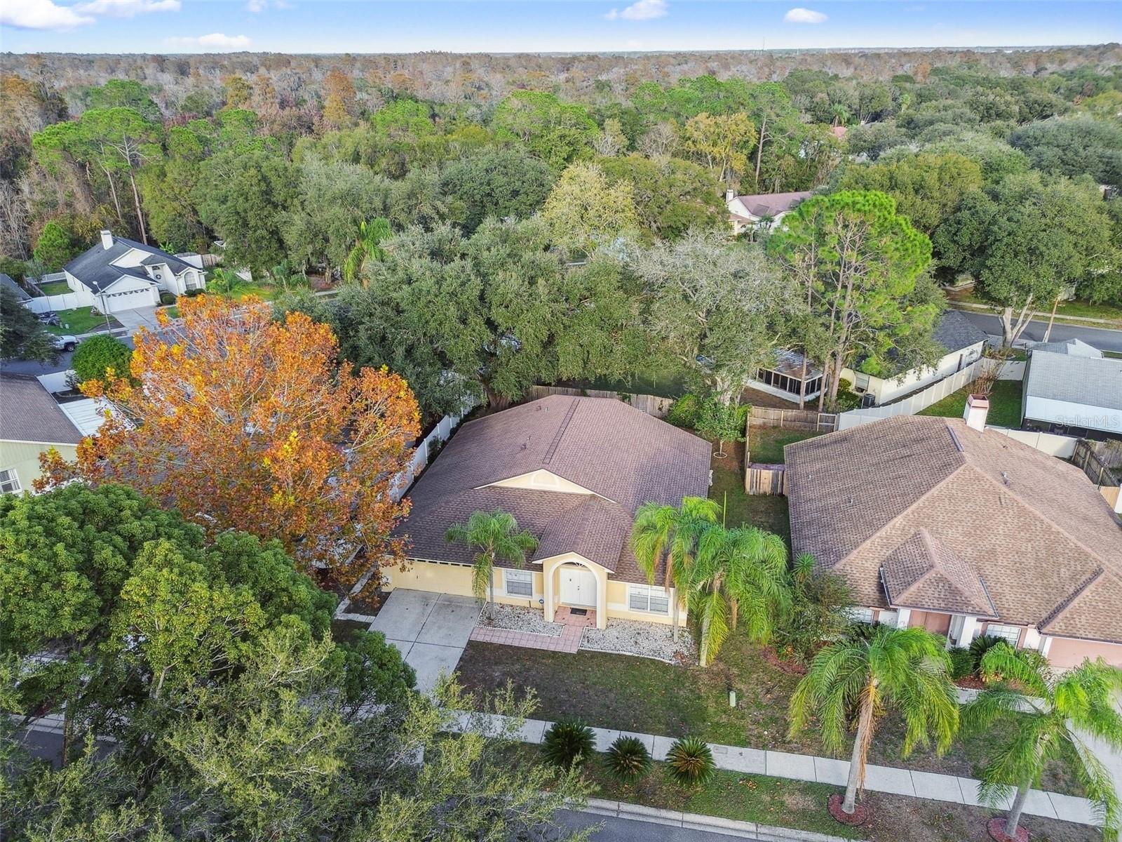 2342 TIOGA DR, LAND O LAKES, FL, 34639