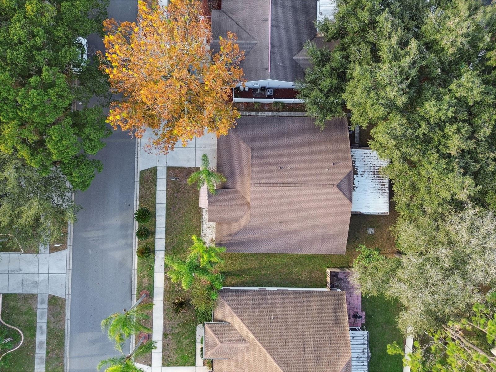 2342 TIOGA DR, LAND O LAKES, FL, 34639