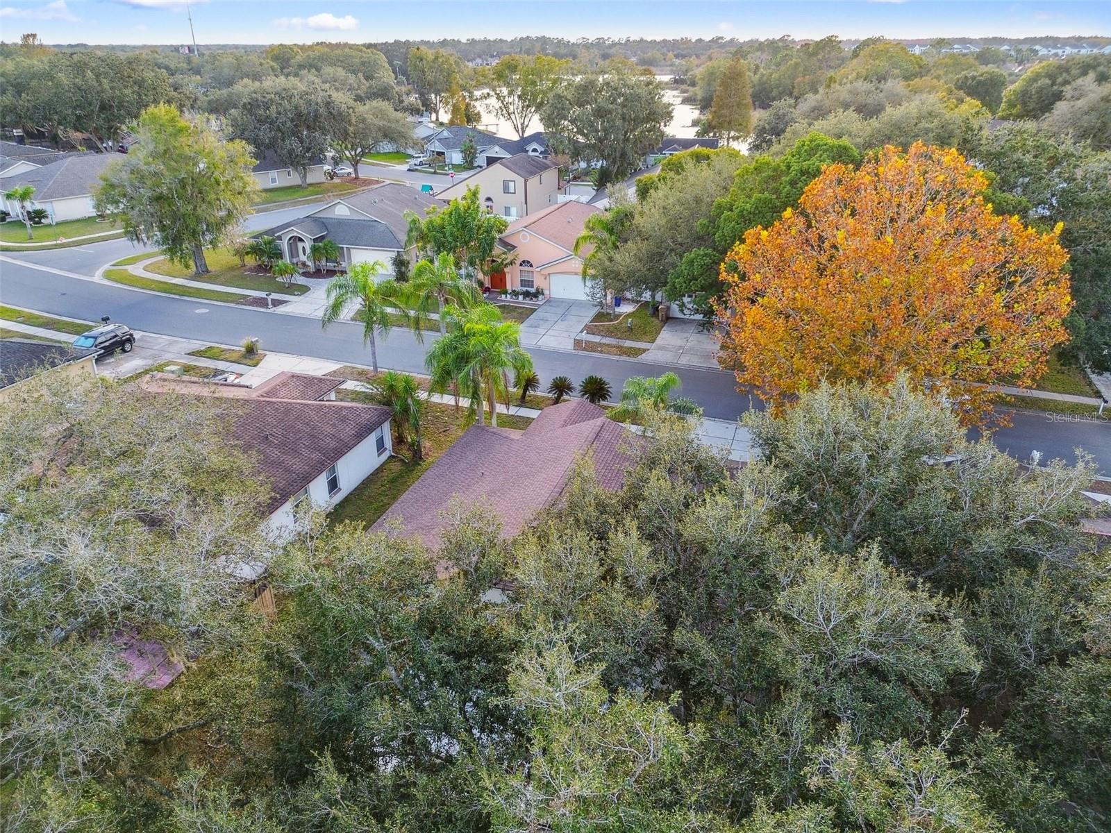 2342 TIOGA DR, LAND O LAKES, FL, 34639