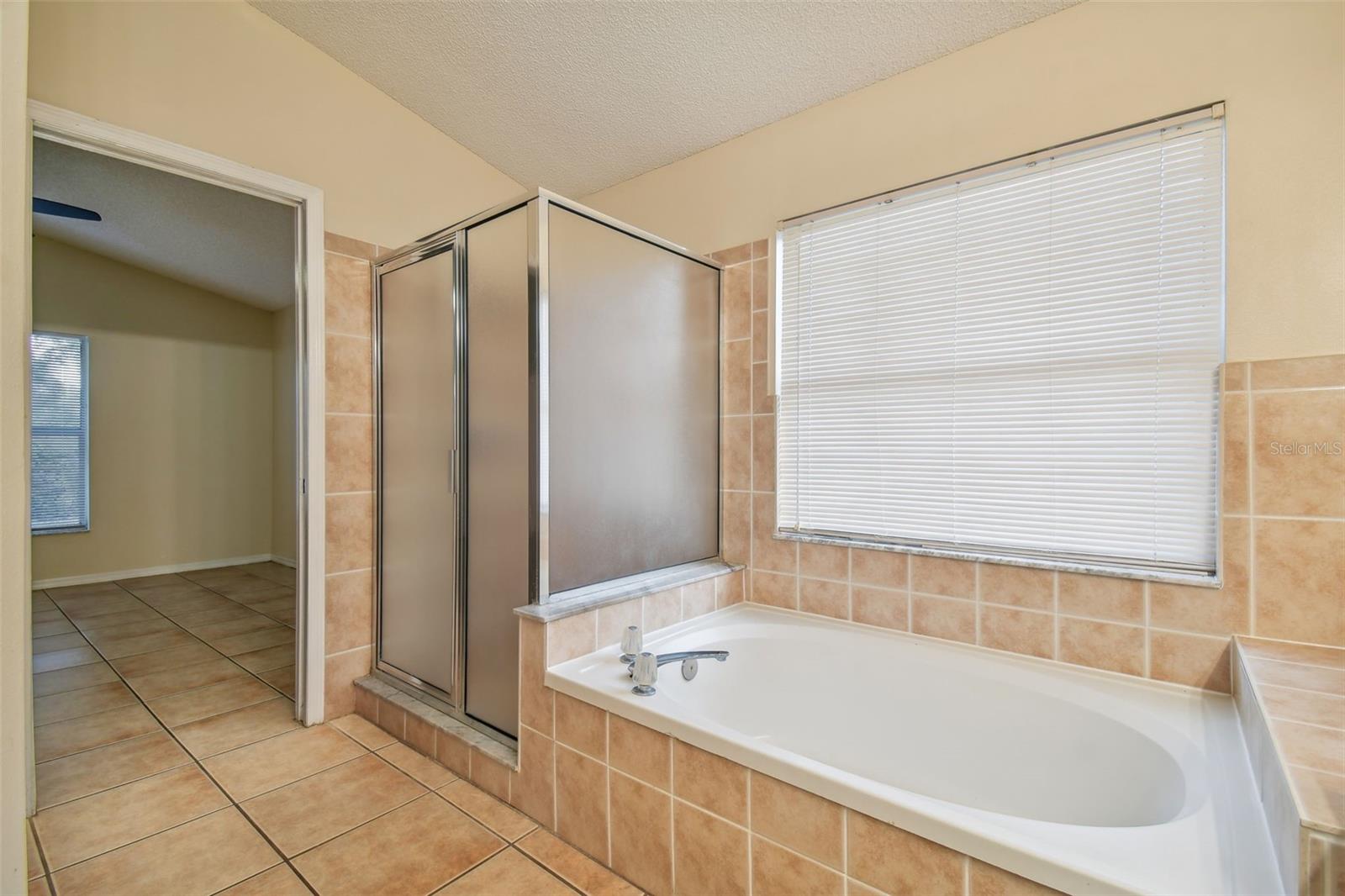 2342 TIOGA DR, LAND O LAKES, FL, 34639