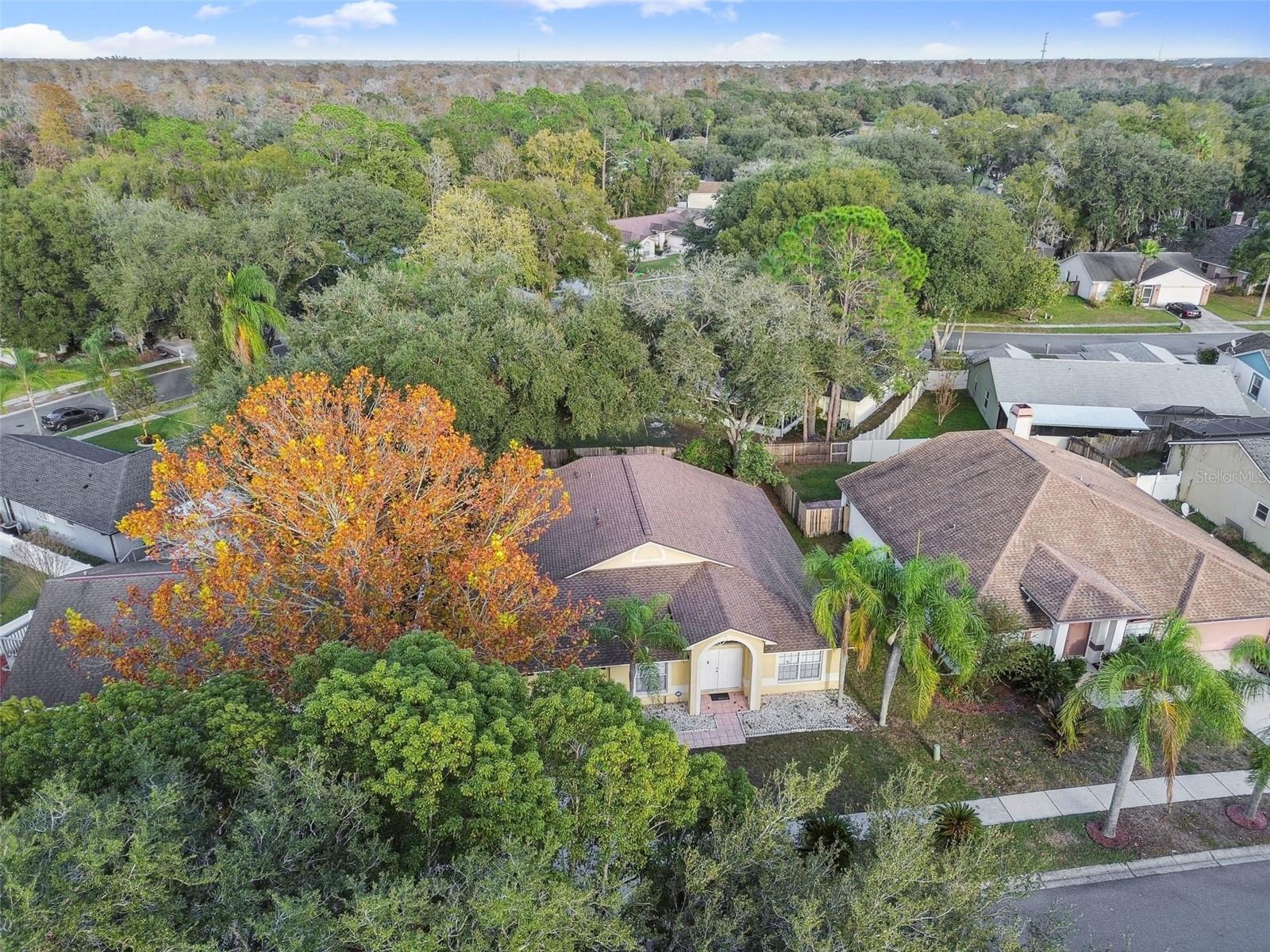 2342 TIOGA DR, LAND O LAKES, FL, 34639