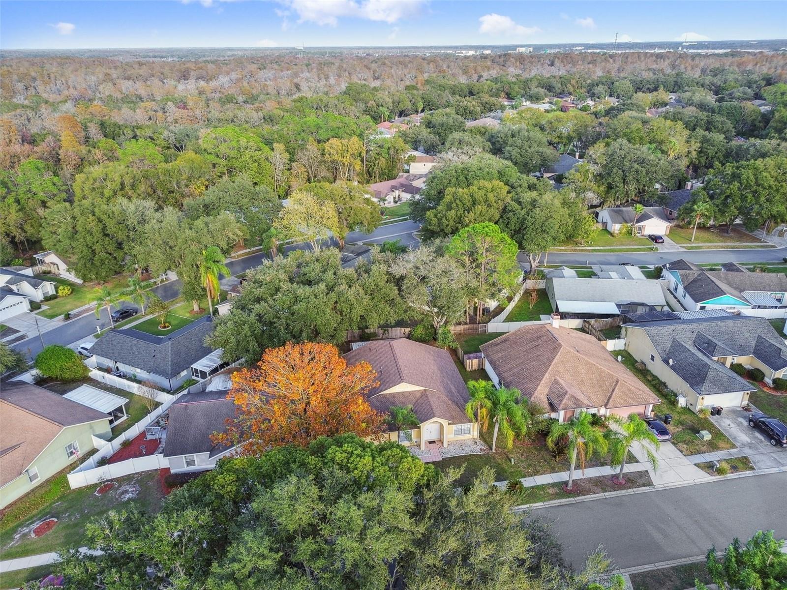 2342 TIOGA DR, LAND O LAKES, FL, 34639