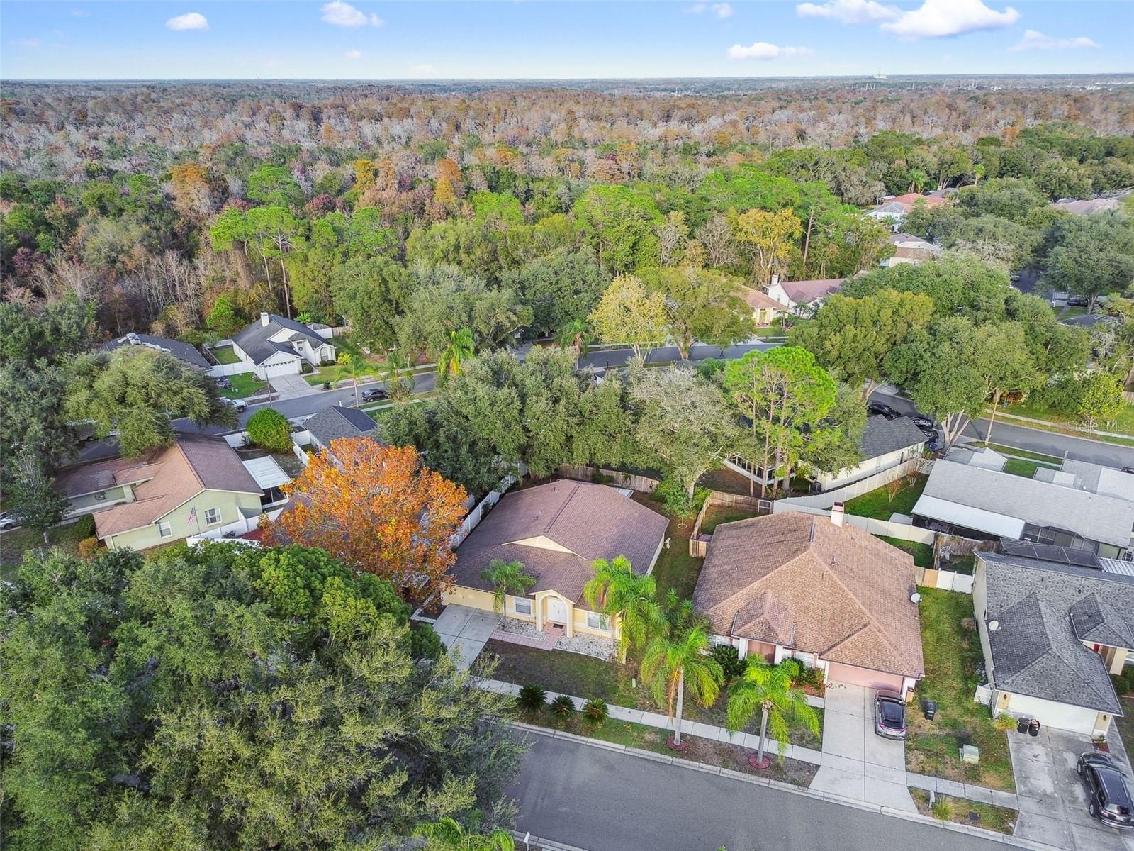 2342 TIOGA DR, LAND O LAKES, FL, 34639