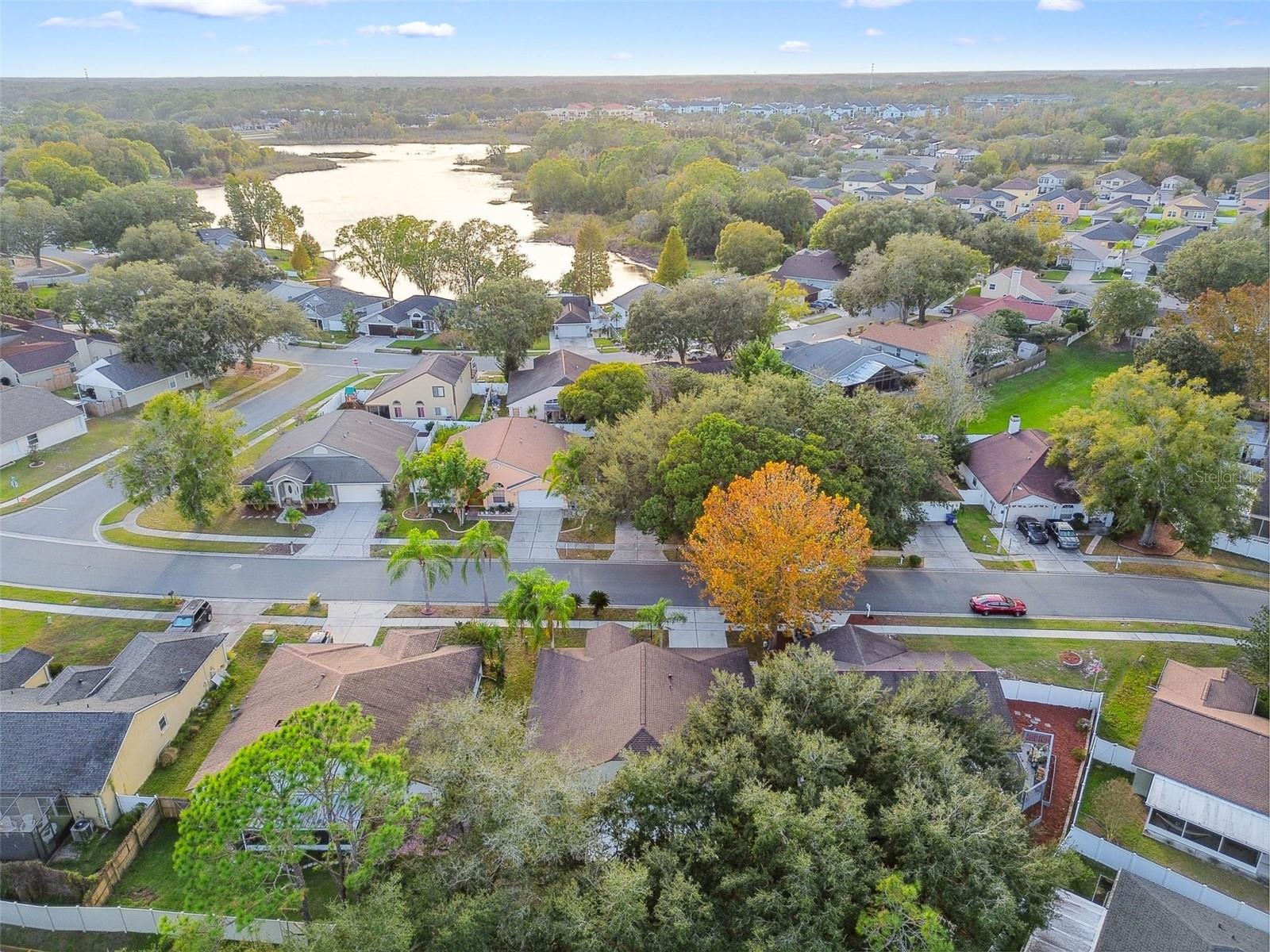 2342 TIOGA DR, LAND O LAKES, FL, 34639