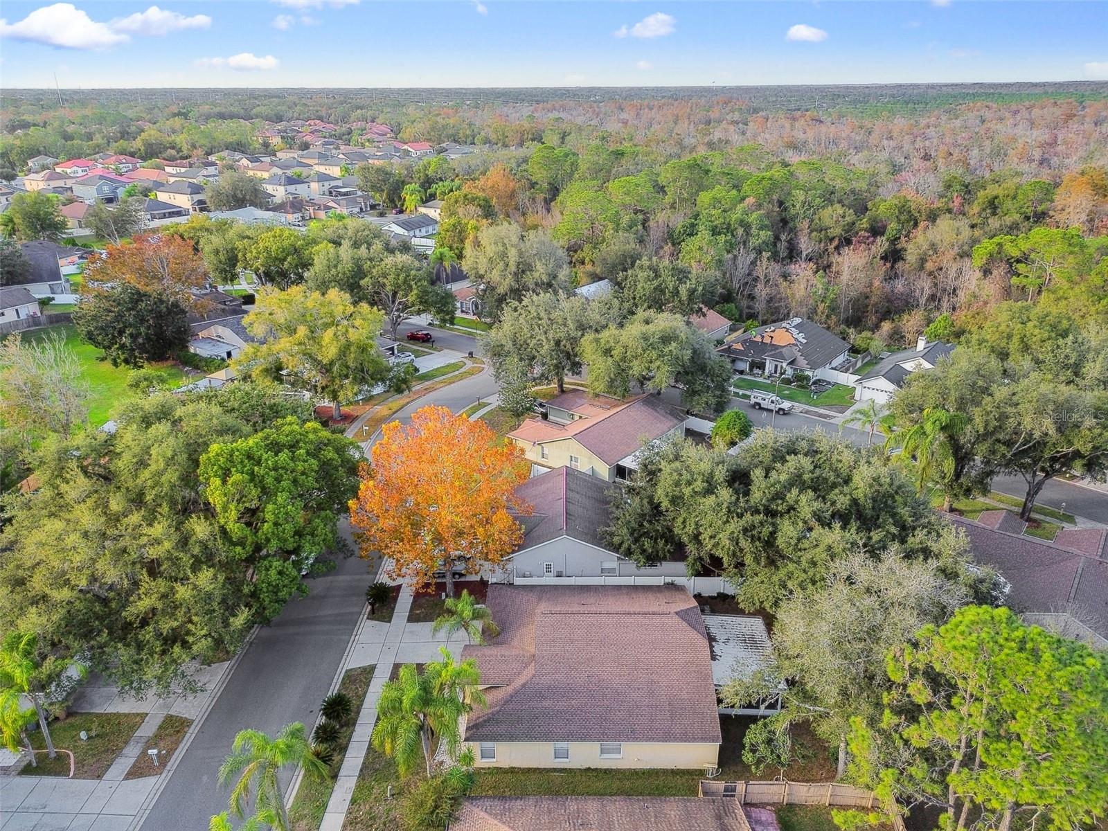 2342 TIOGA DR, LAND O LAKES, FL, 34639
