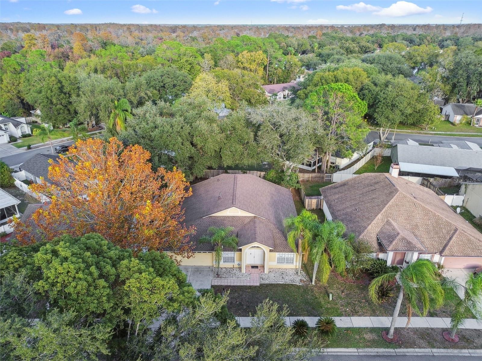 2342 TIOGA DR, LAND O LAKES, FL, 34639