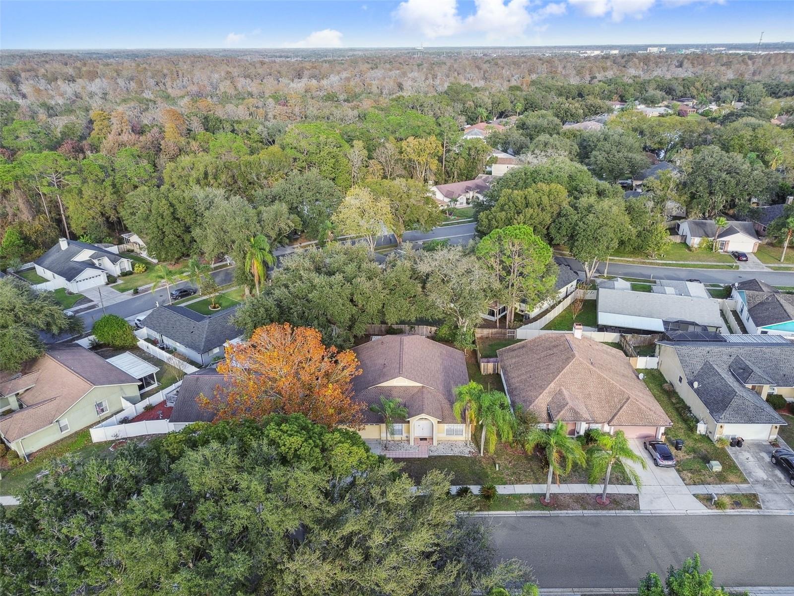 2342 TIOGA DR, LAND O LAKES, FL, 34639