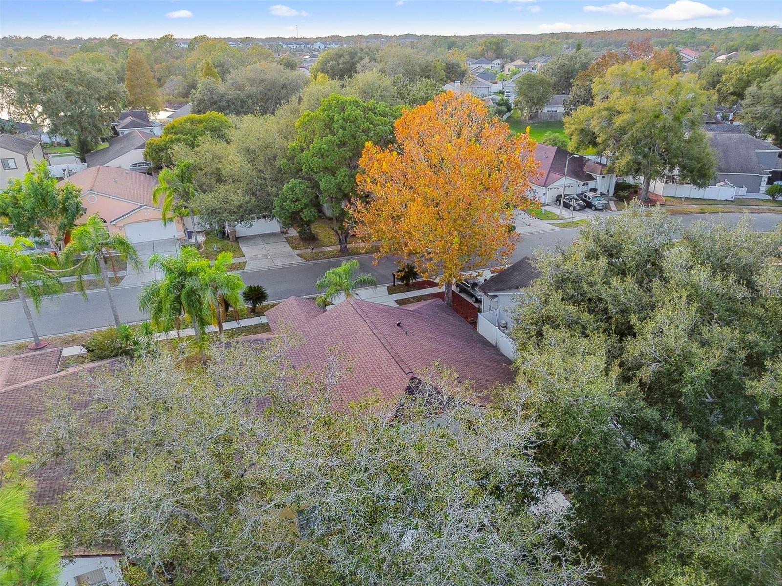 2342 TIOGA DR, LAND O LAKES, FL, 34639
