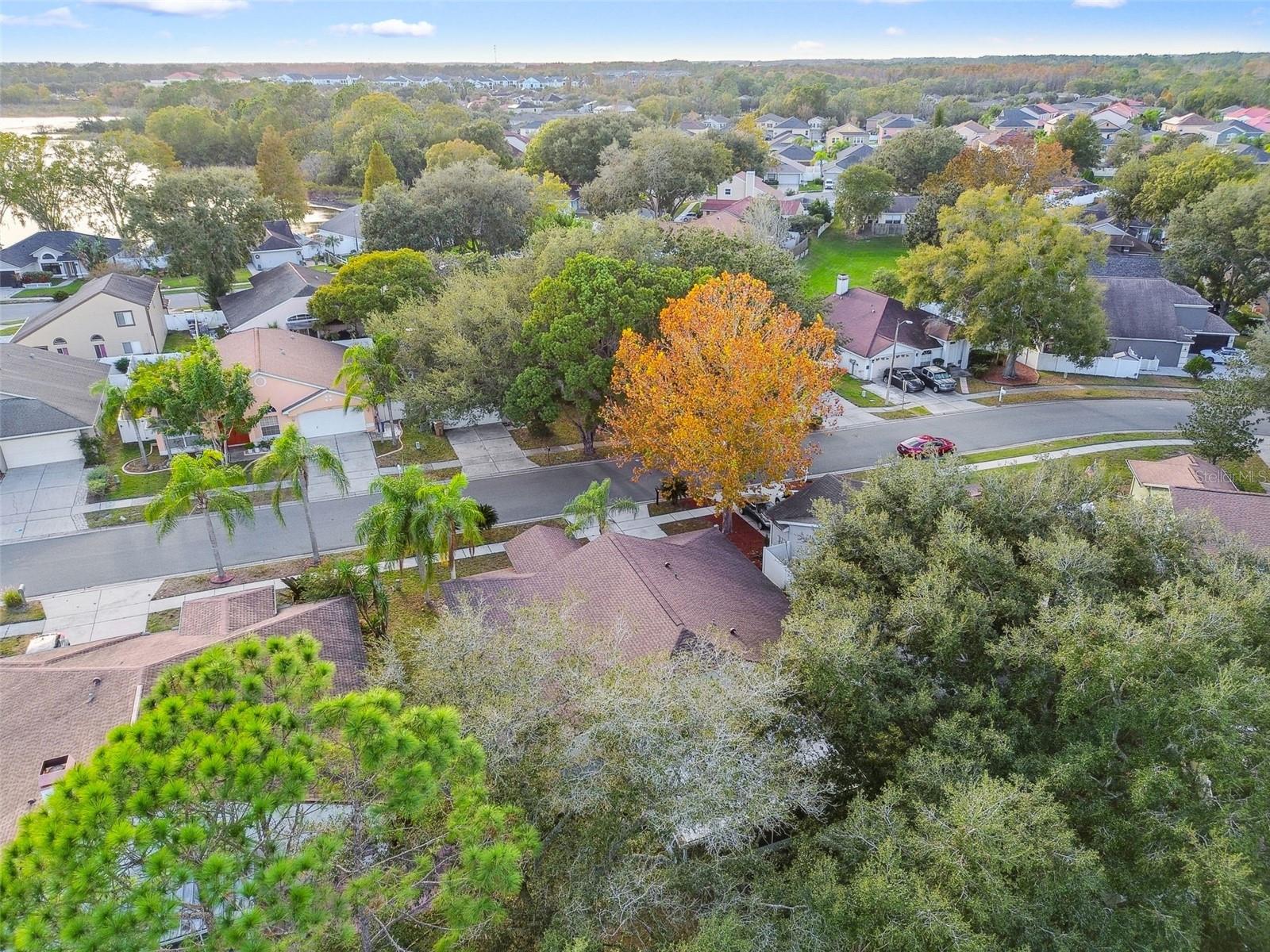 2342 TIOGA DR, LAND O LAKES, FL, 34639
