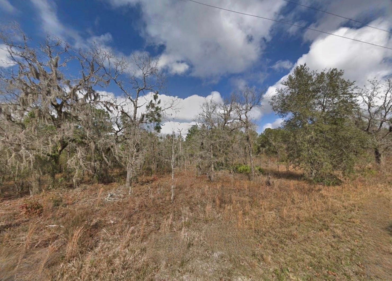 16148 SHELDRAKE LOOP, BROOKSVILLE, FL, 34614