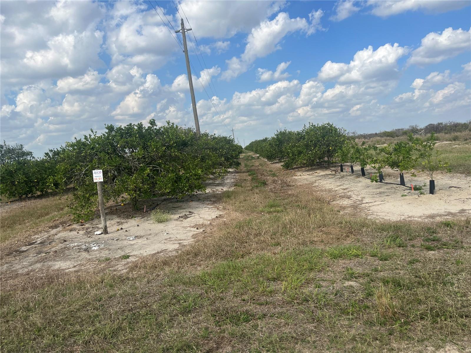 NE HWY 70, ARCADIA, FL, 34266