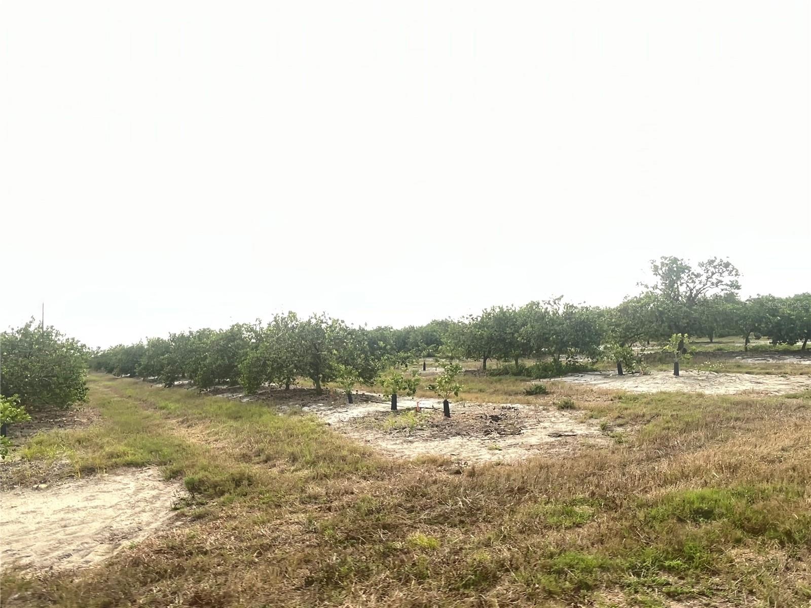 NE HWY 70, ARCADIA, FL, 34266