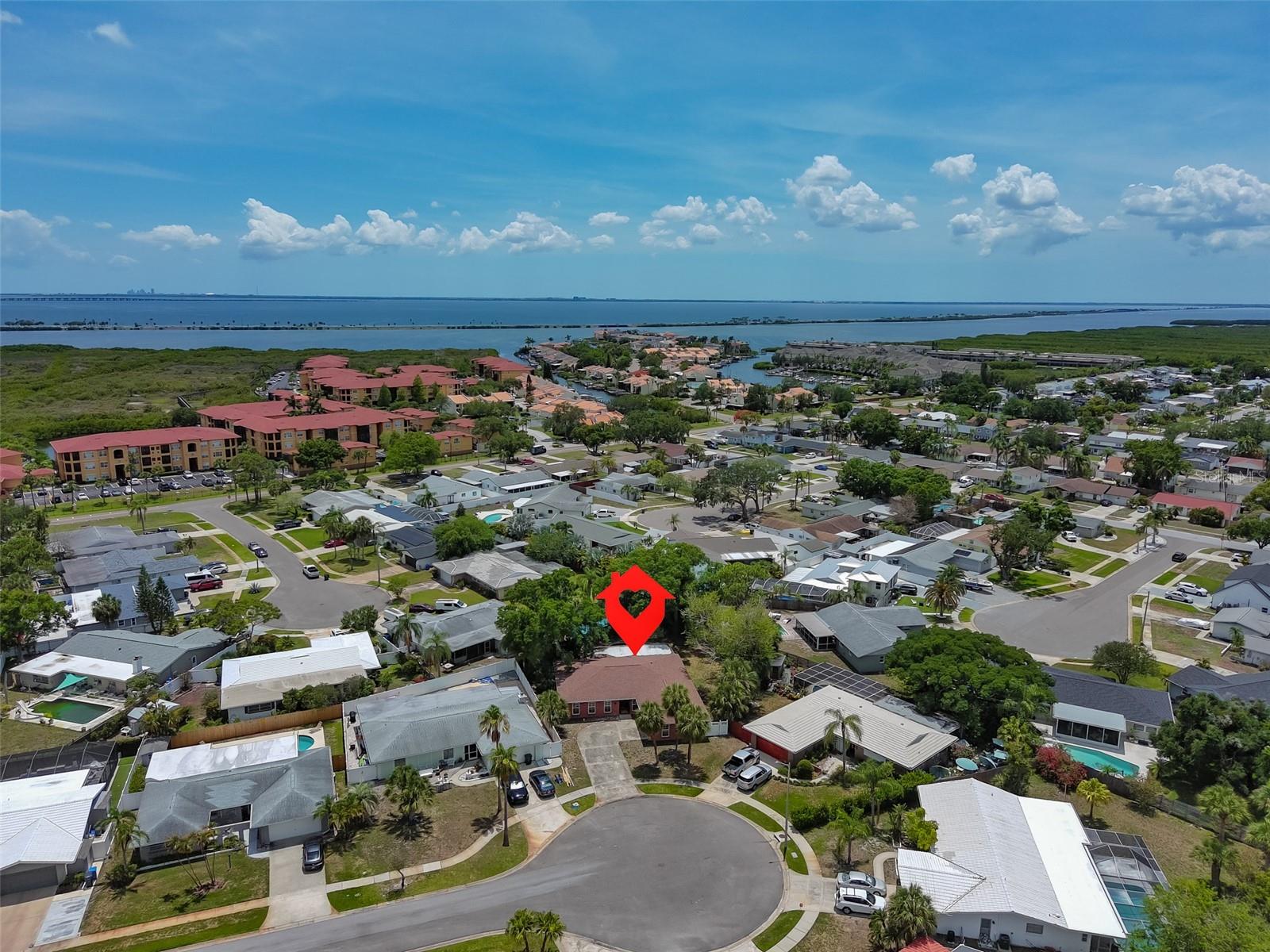 8410 LAVA PL, TAMPA, FL, 33615