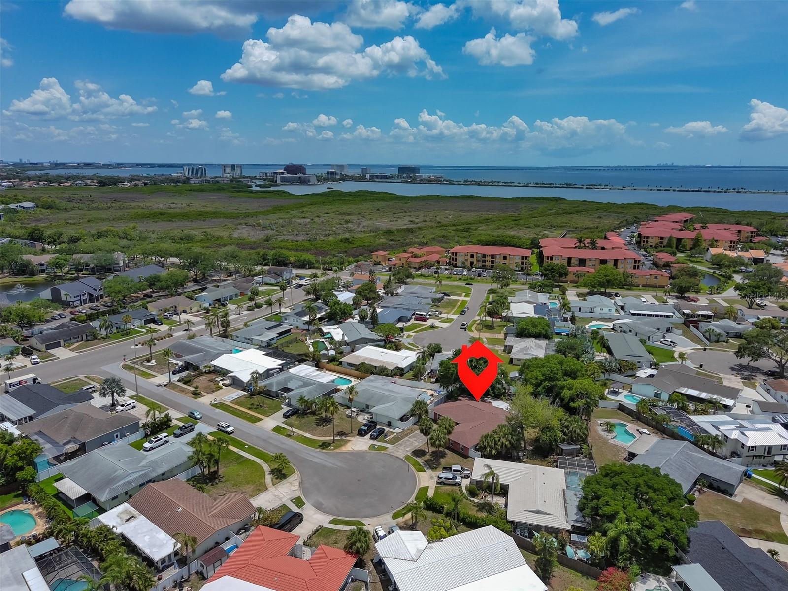 8410 LAVA PL, TAMPA, FL, 33615