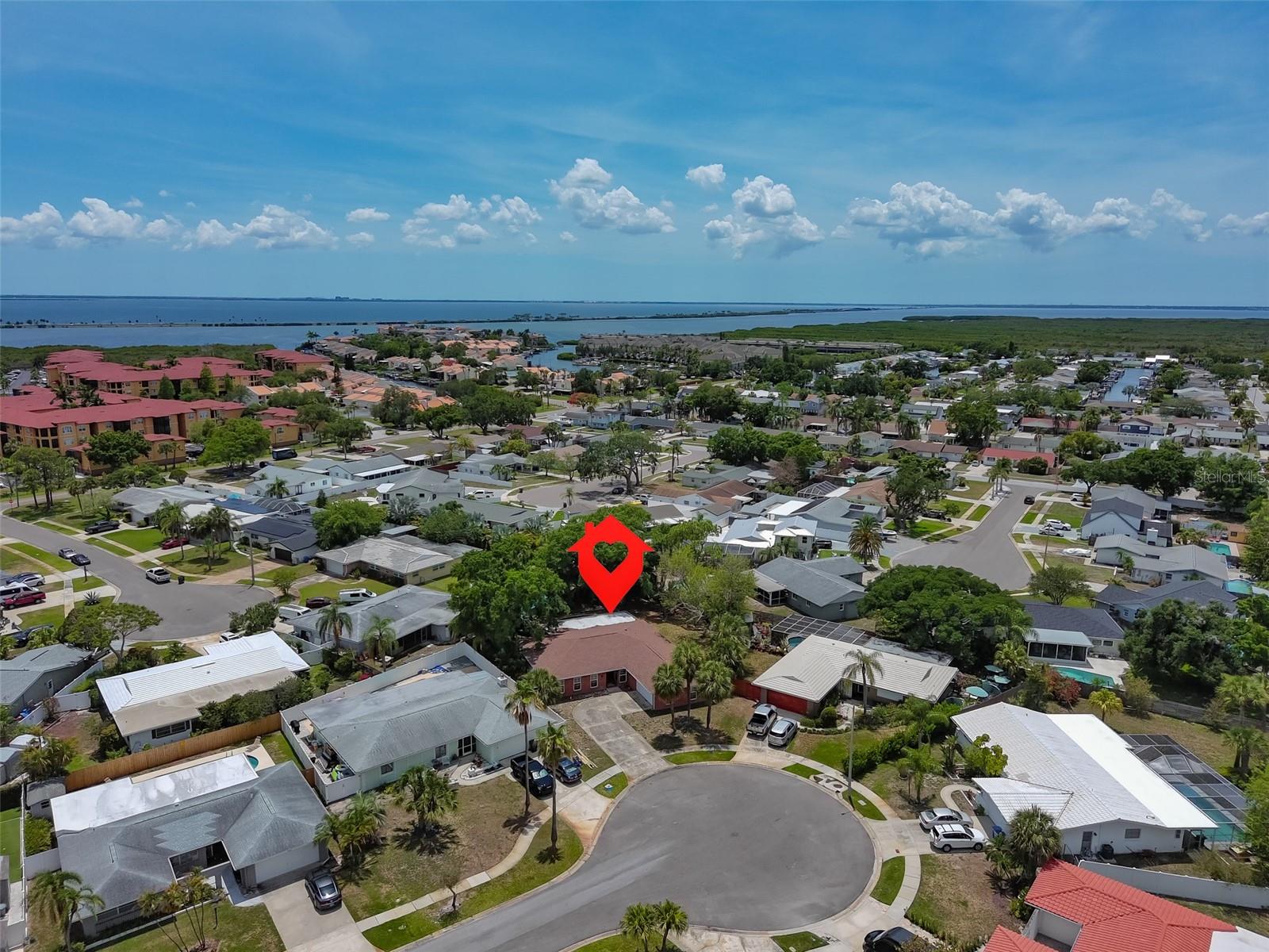 8410 LAVA PL, TAMPA, FL, 33615