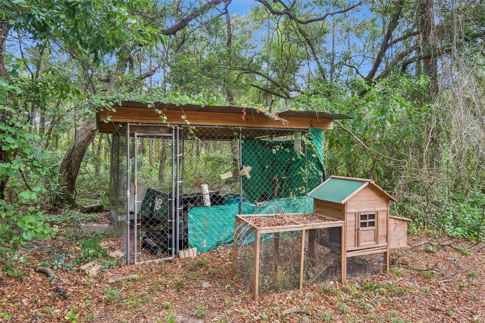 28100 SE 171ST ST, UMATILLA, FL, 32784