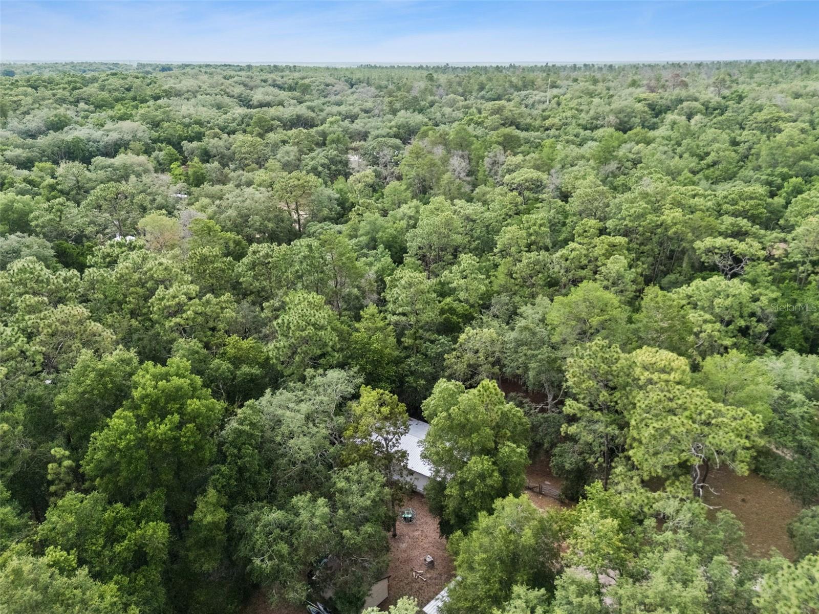 28100 SE 171ST ST, UMATILLA, FL, 32784