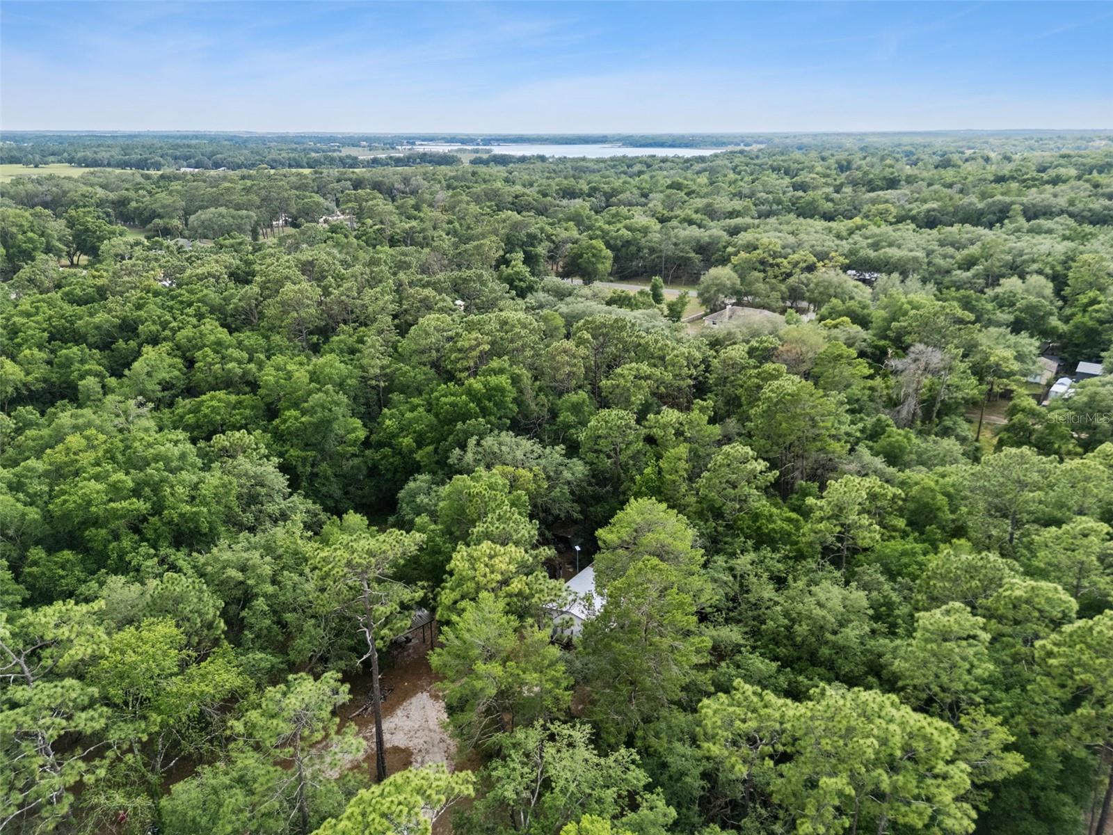 28100 SE 171ST ST, UMATILLA, FL, 32784
