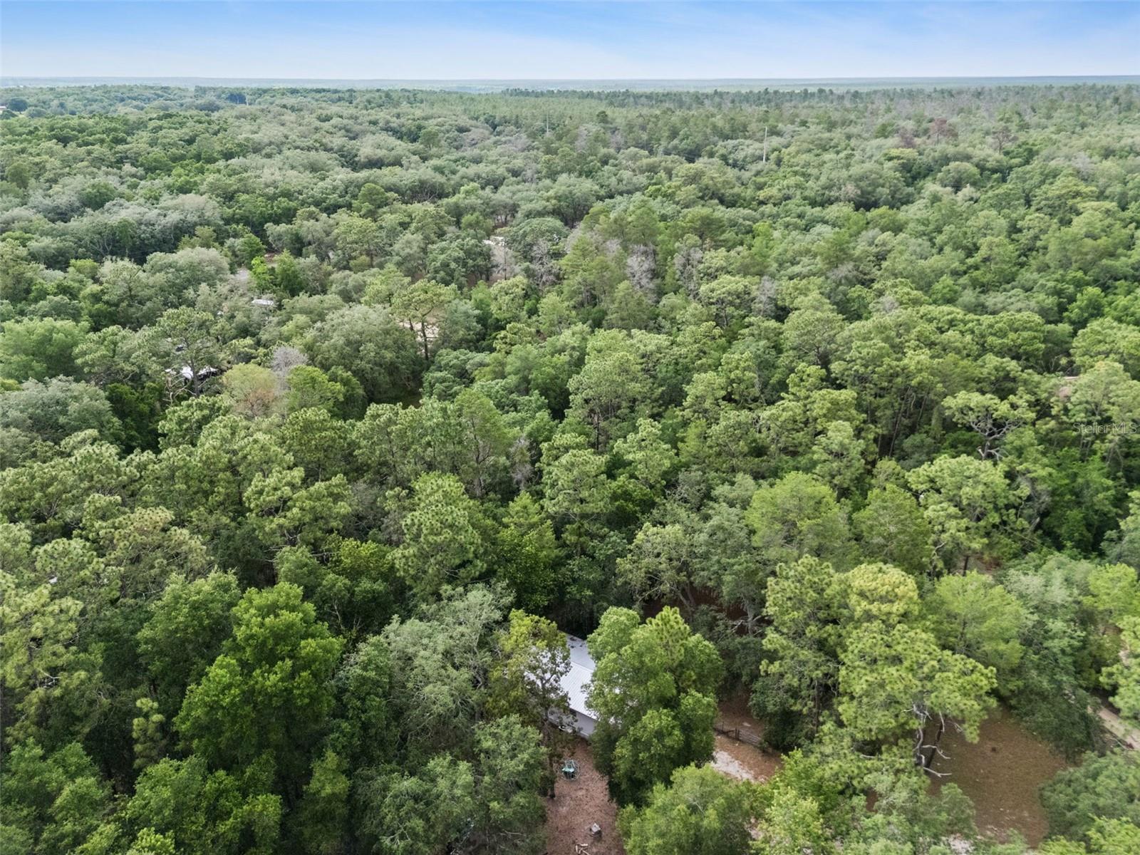 28100 SE 171ST ST, UMATILLA, FL, 32784