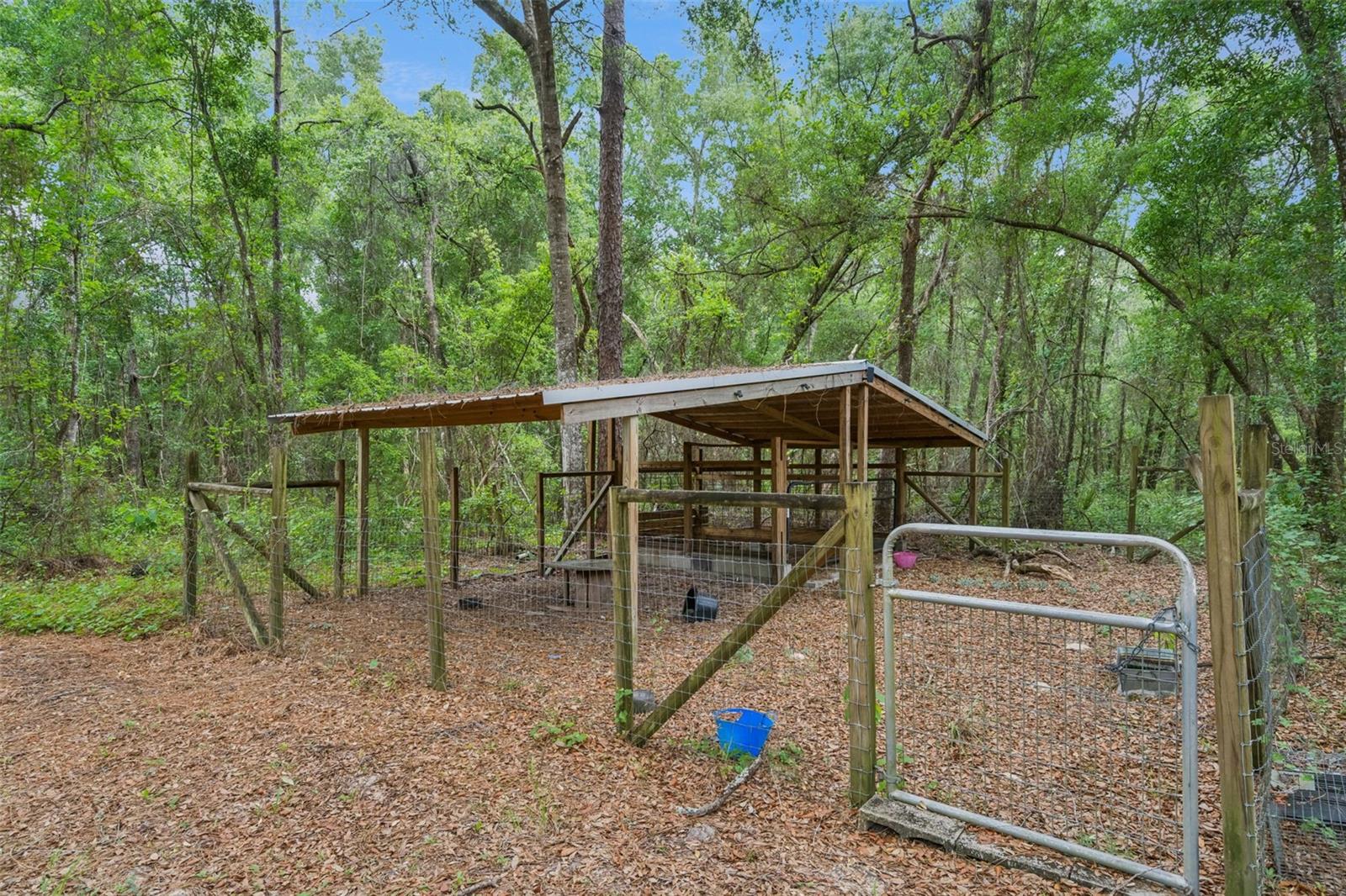 28100 SE 171ST ST, UMATILLA, FL, 32784