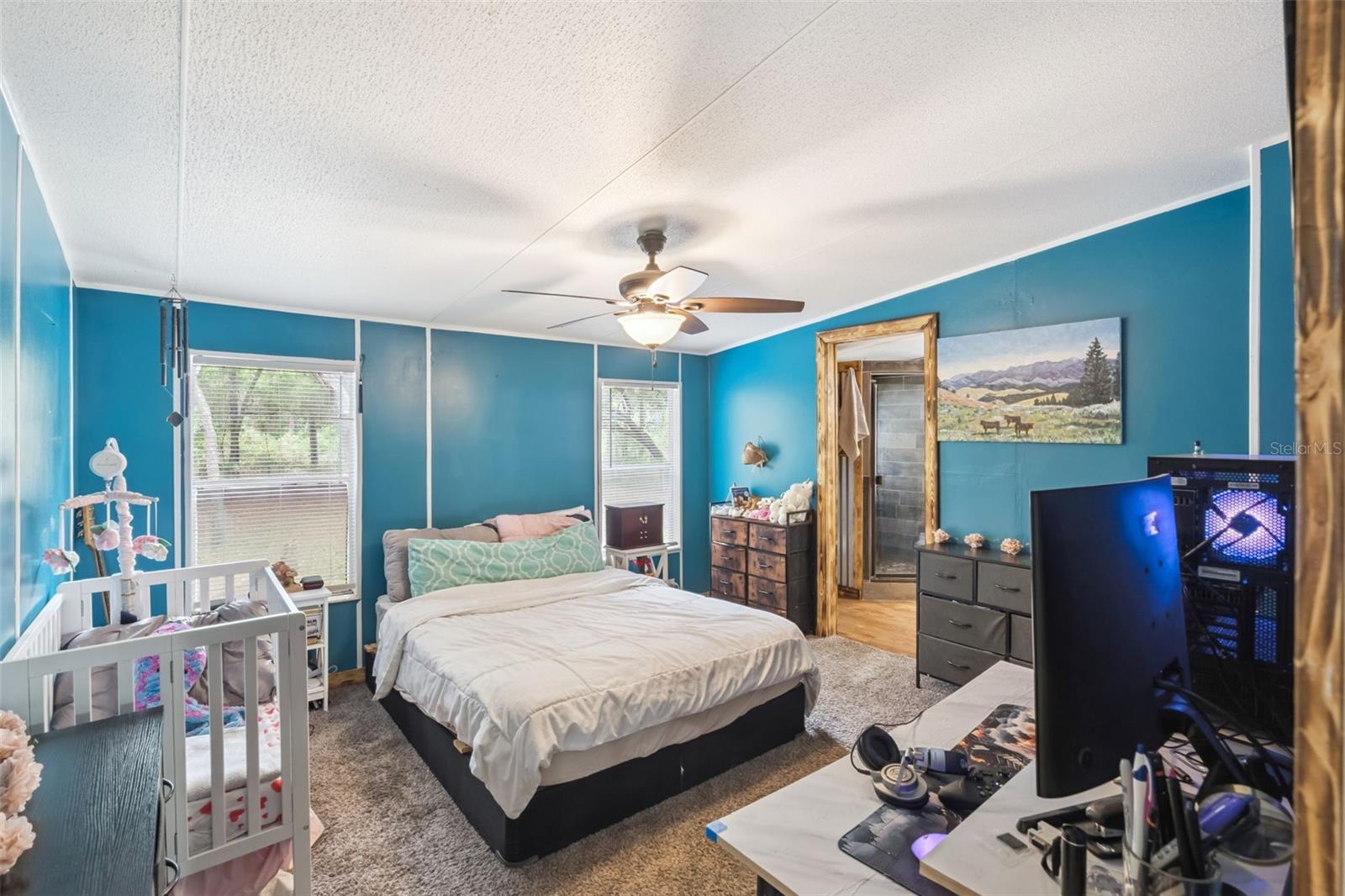 28100 SE 171ST ST, UMATILLA, FL, 32784