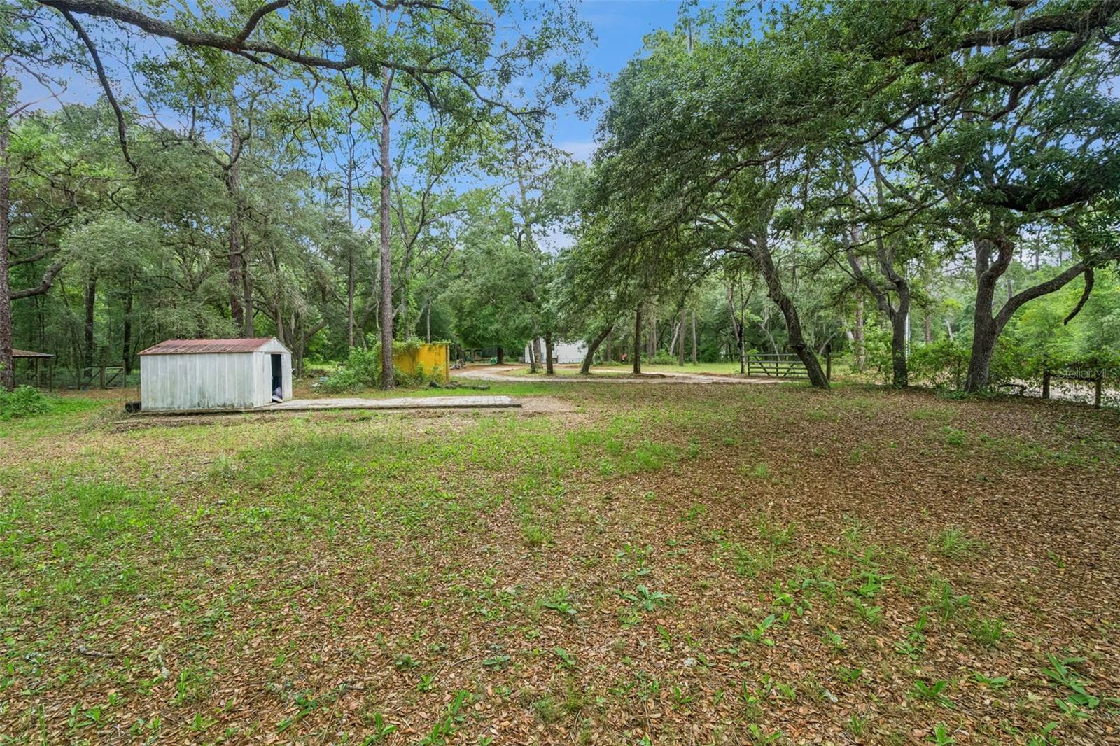 28100 SE 171ST ST, UMATILLA, FL, 32784
