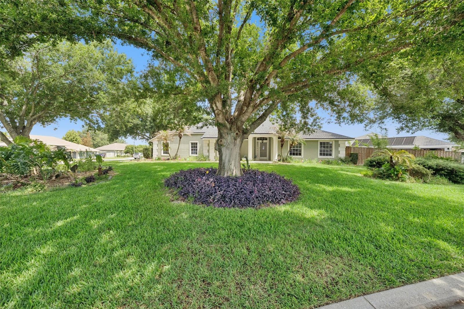11232 MARSEILLES BLVD, CLERMONT, FL, 34711