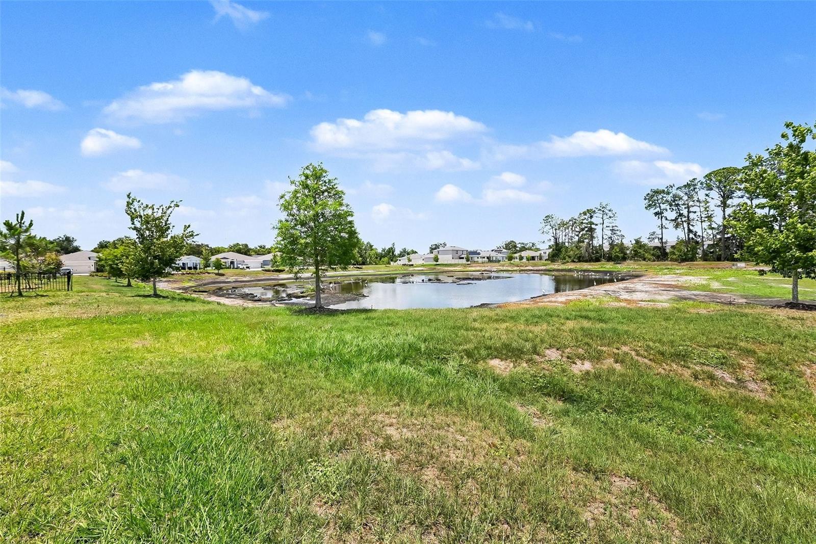 23231 SCAGLIONE DR, LUTZ, FL, 33549