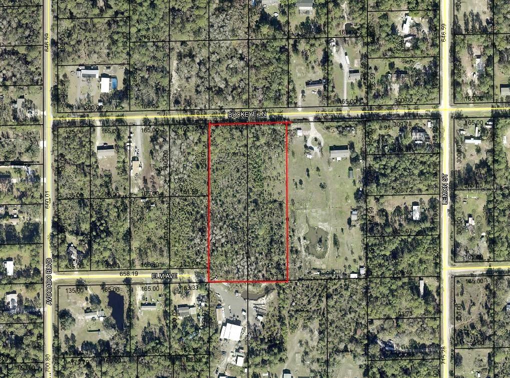 5799 BUCKEYE LN, BUNNELL, FL, 32110