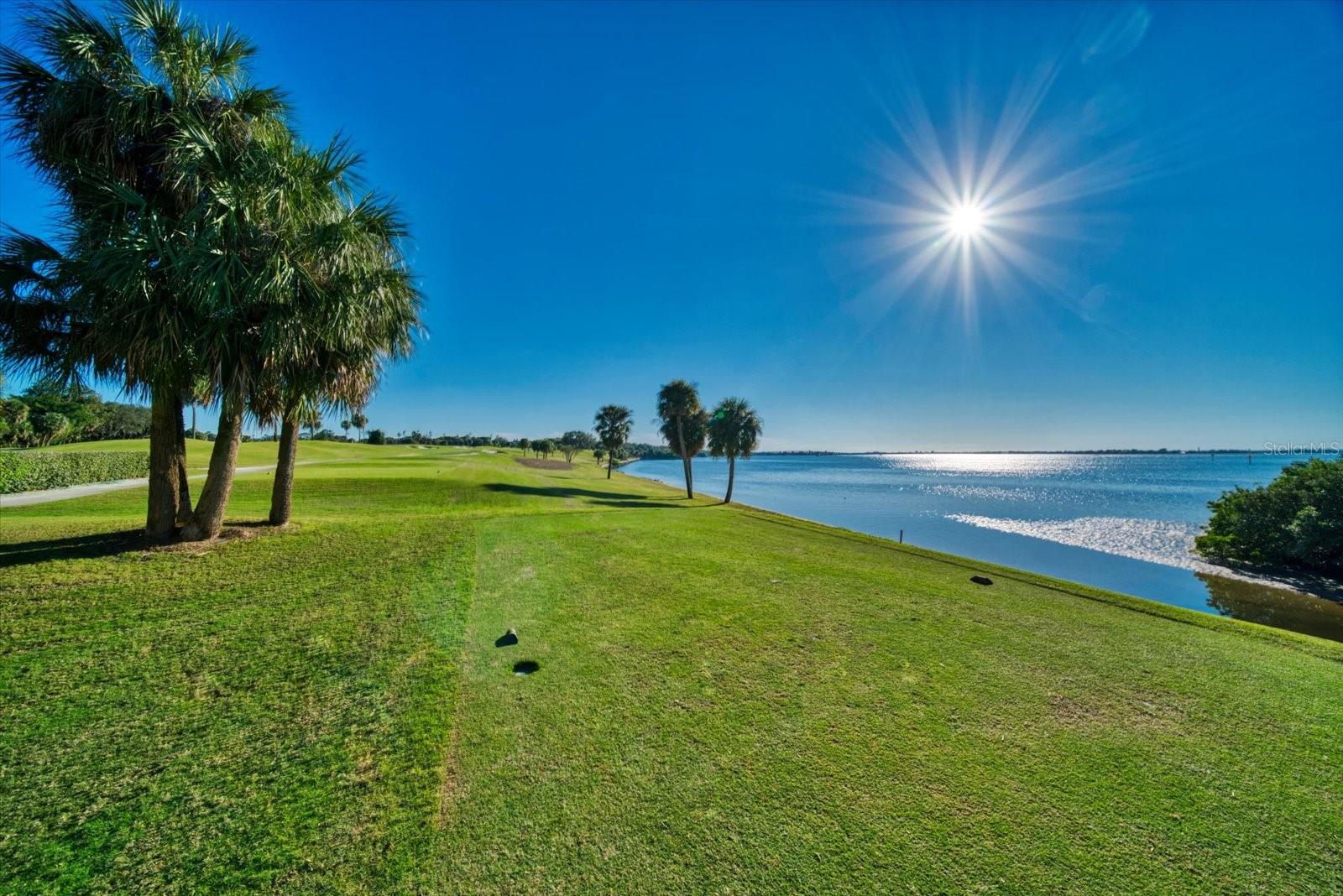 6 BELLEVIEW BLVD #105, BELLEAIR, FL, 33756
