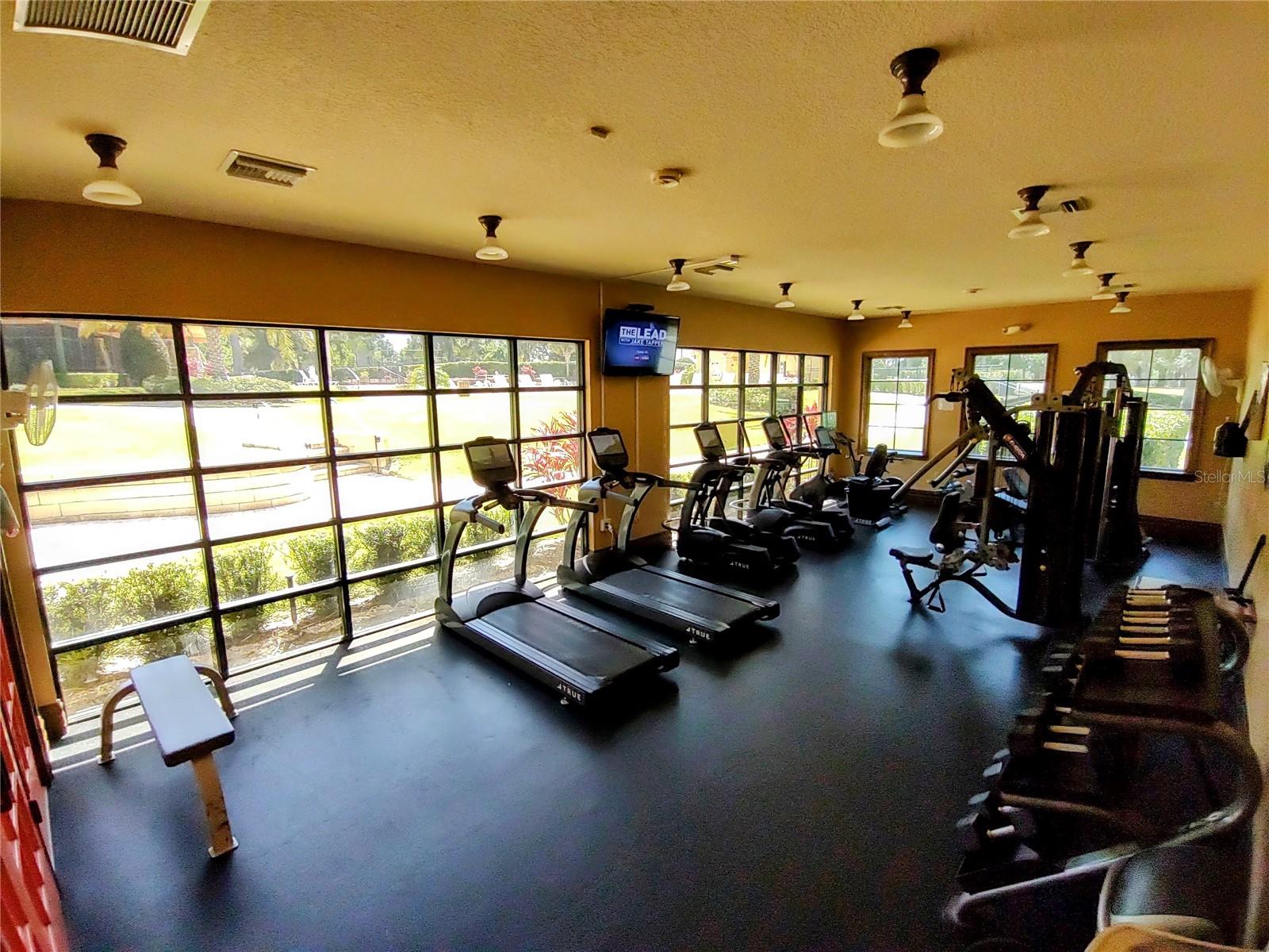 33804 TERRAGONA DR, SORRENTO, FL, 32776