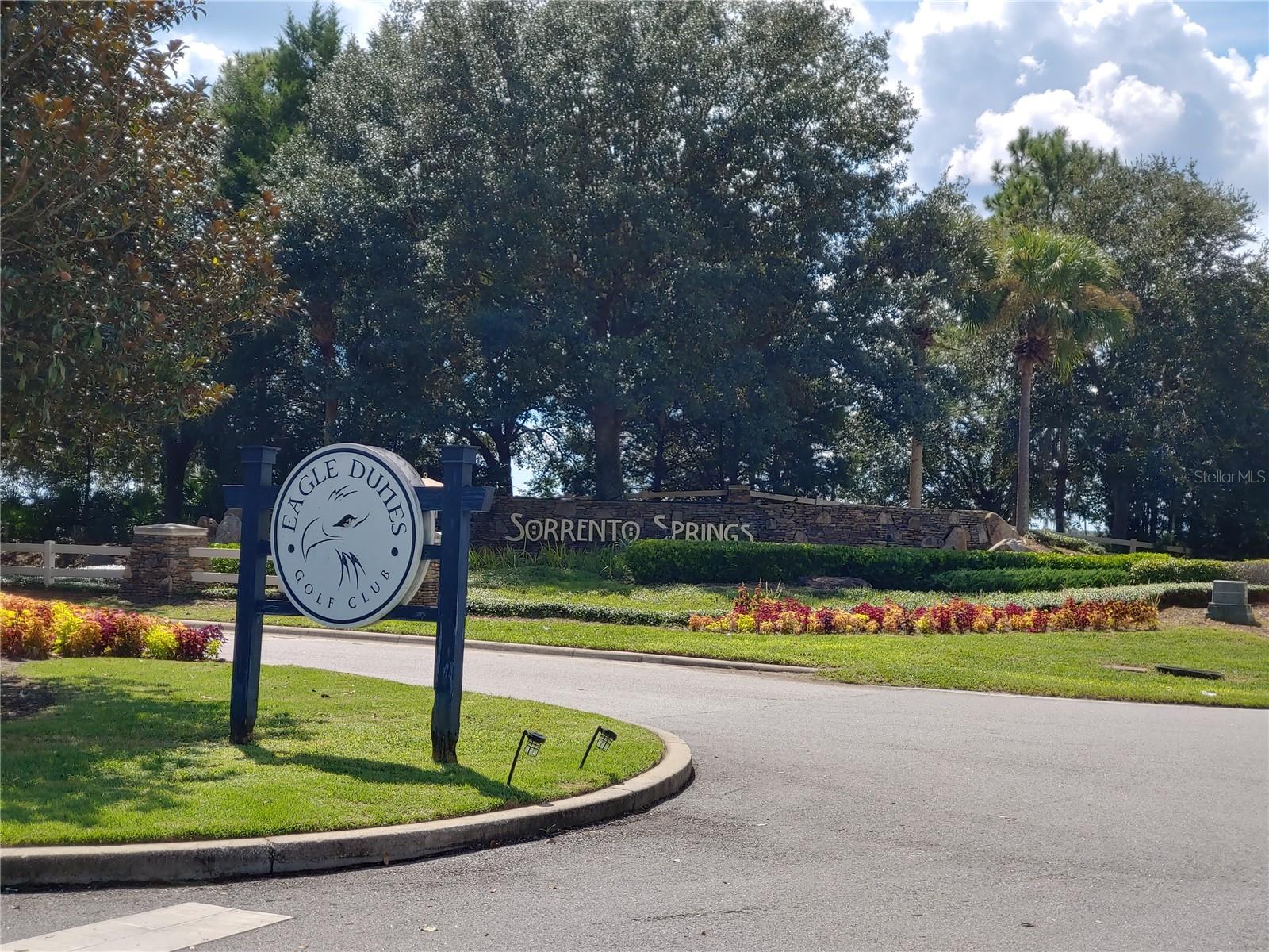 33804 TERRAGONA DR, SORRENTO, FL, 32776