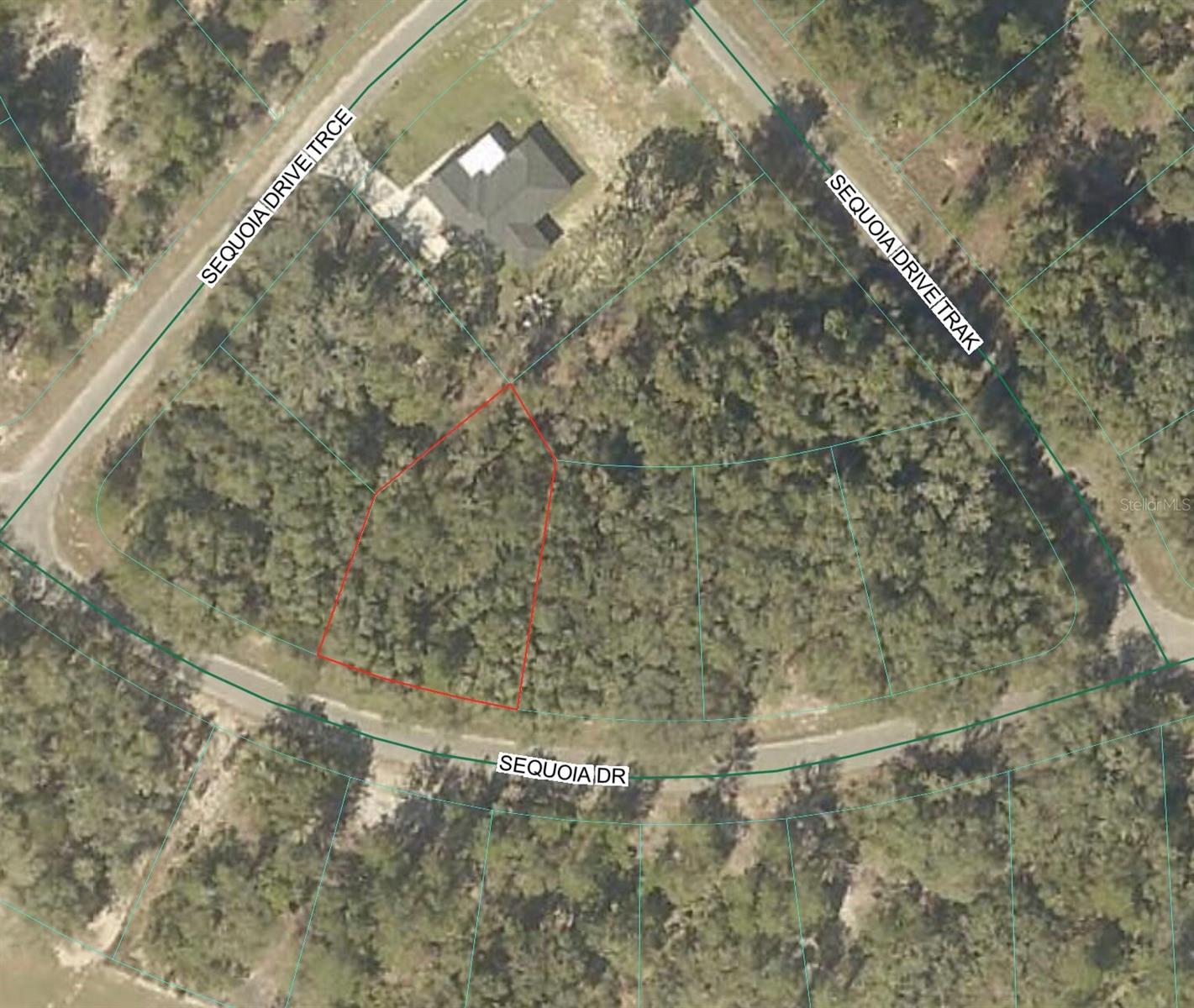 SEQUOIA LOOP DR, OCKLAWAHA, FL, 32179