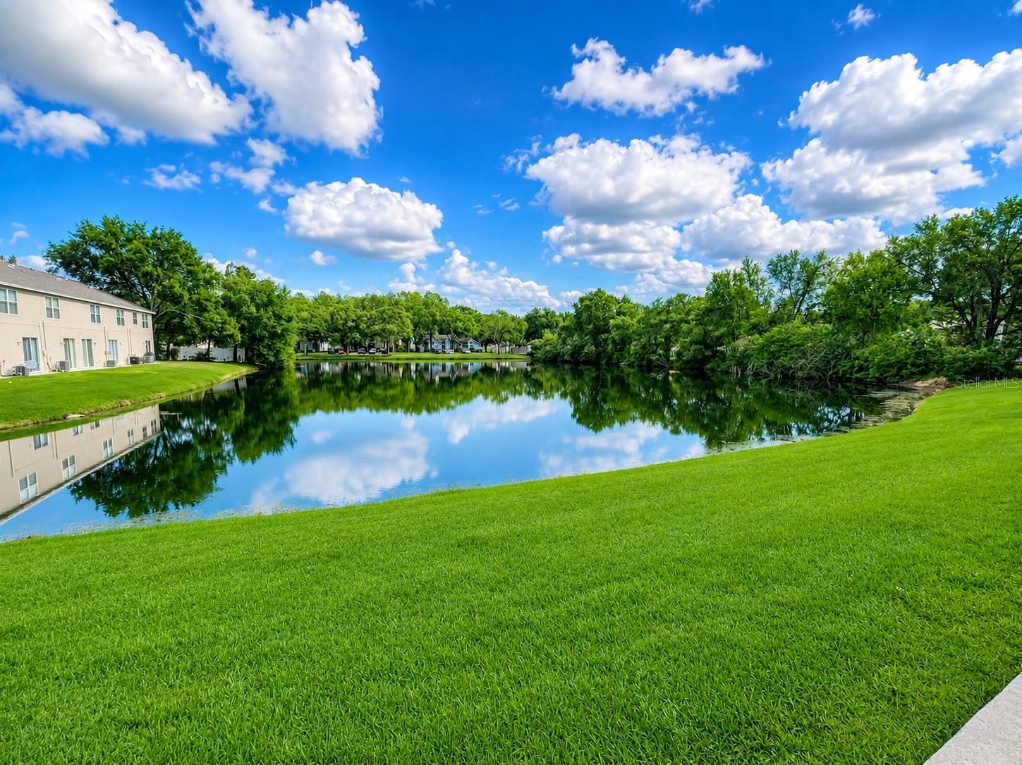 12719 COUNTRY BROOK LN, TAMPA, FL, 33625