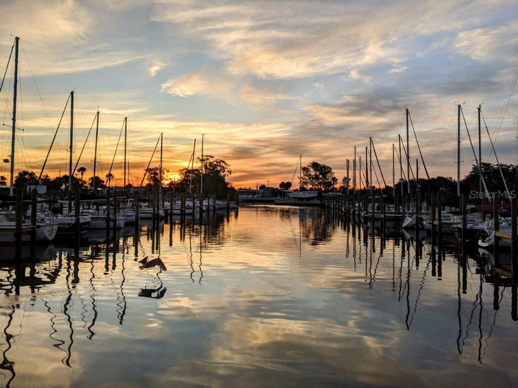 1000 DARTMOUTH DR, BRADENTON, FL, 34207