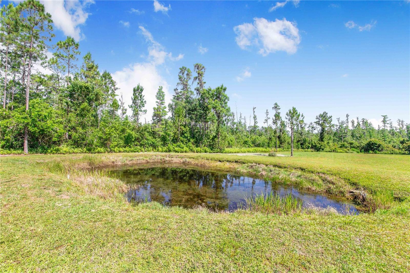 7152 FUSSELL RD, POLK CITY, FL, 33868