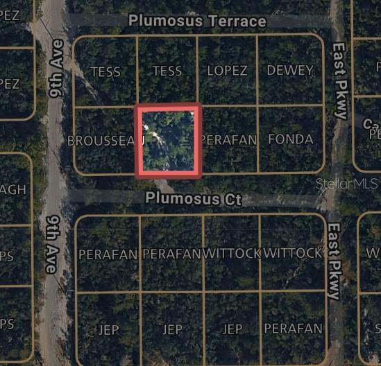212 PLUMOSUS CT, DELAND, FL, 32724