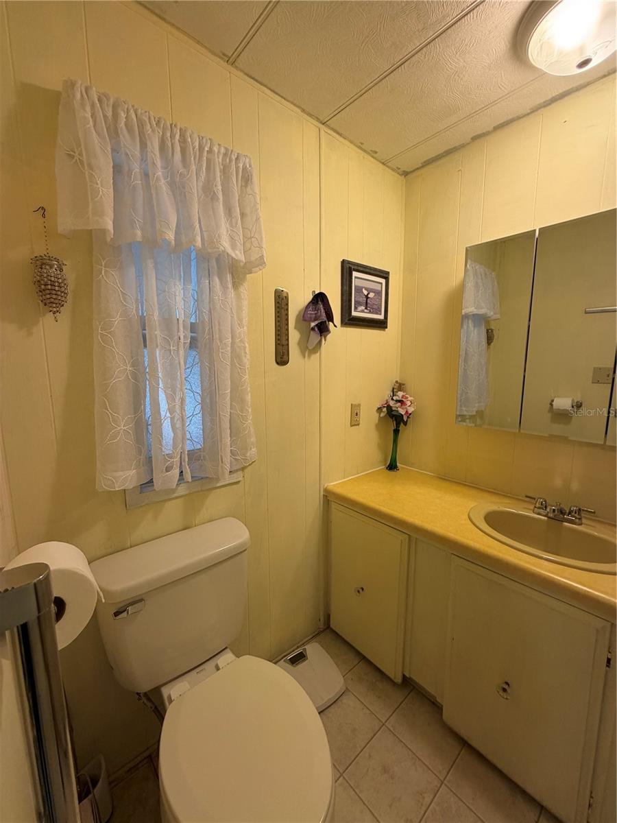 3315 CR 431N, LAKE PANASOFFKEE, FL, 33538
