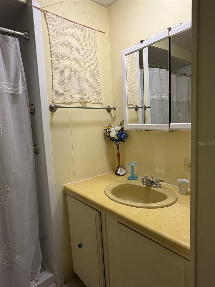 3315 CR 431N, LAKE PANASOFFKEE, FL, 33538