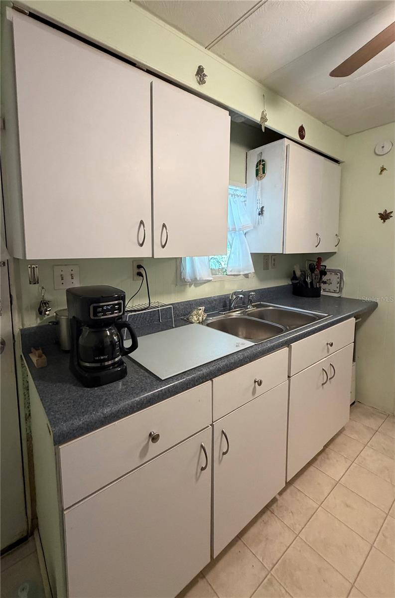 3315 CR 431N, LAKE PANASOFFKEE, FL, 33538