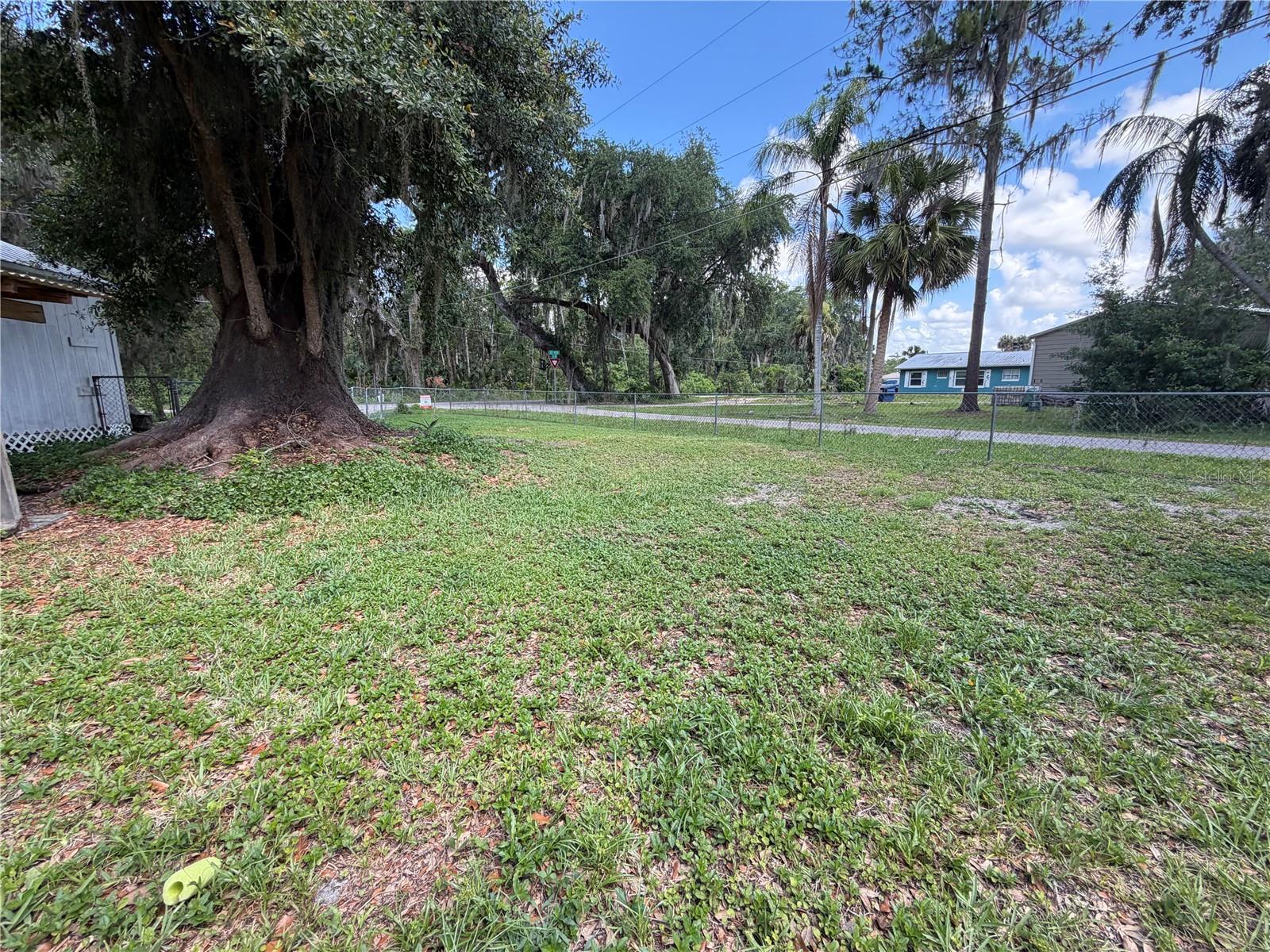 3315 CR 431N, LAKE PANASOFFKEE, FL, 33538