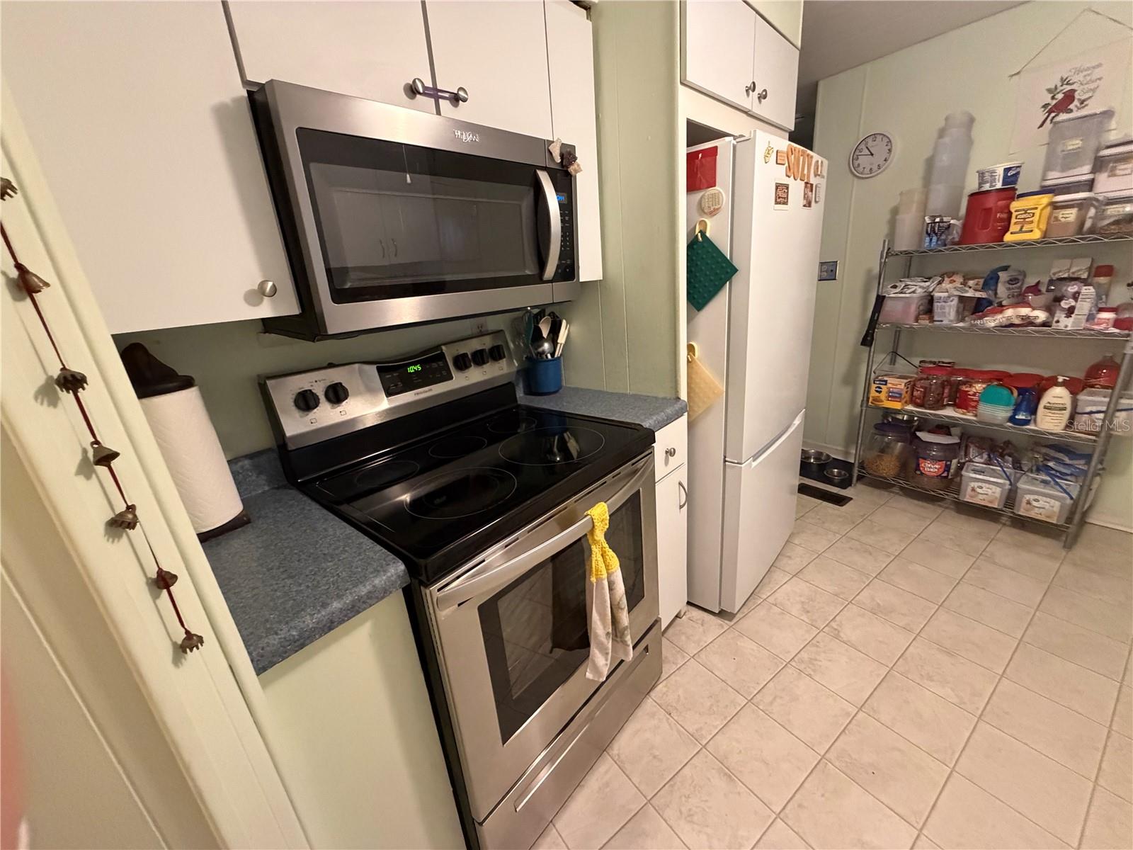 3315 CR 431N, LAKE PANASOFFKEE, FL, 33538