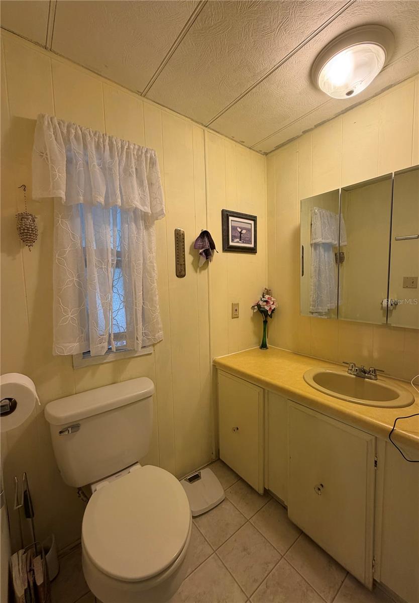 3315 CR 431N, LAKE PANASOFFKEE, FL, 33538