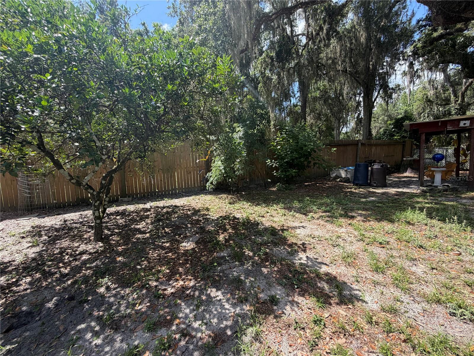 3315 CR 431N, LAKE PANASOFFKEE, FL, 33538
