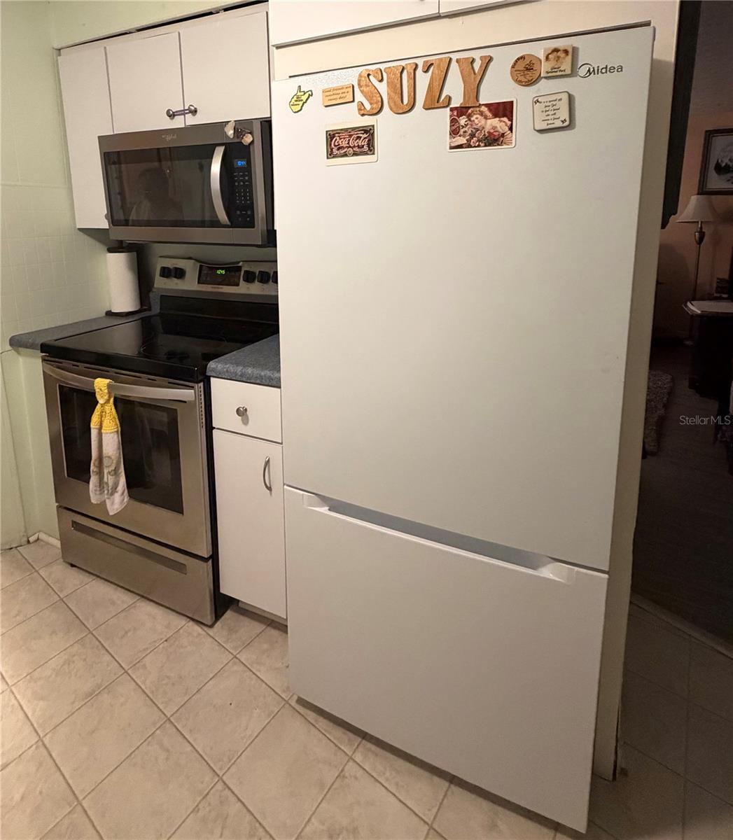3315 CR 431N, LAKE PANASOFFKEE, FL, 33538