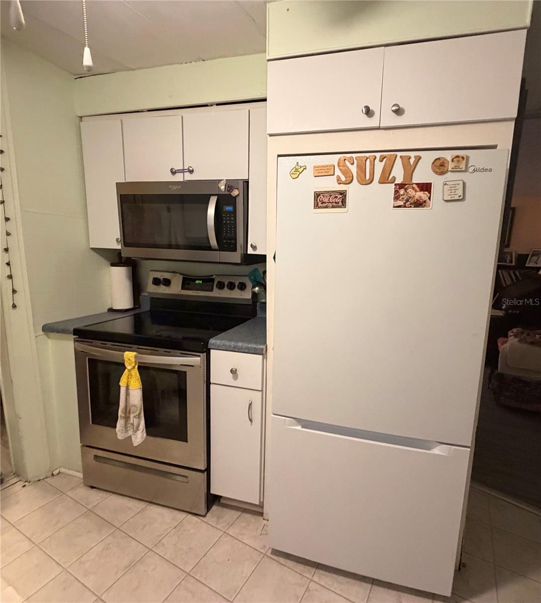 3315 CR 431N, LAKE PANASOFFKEE, FL, 33538