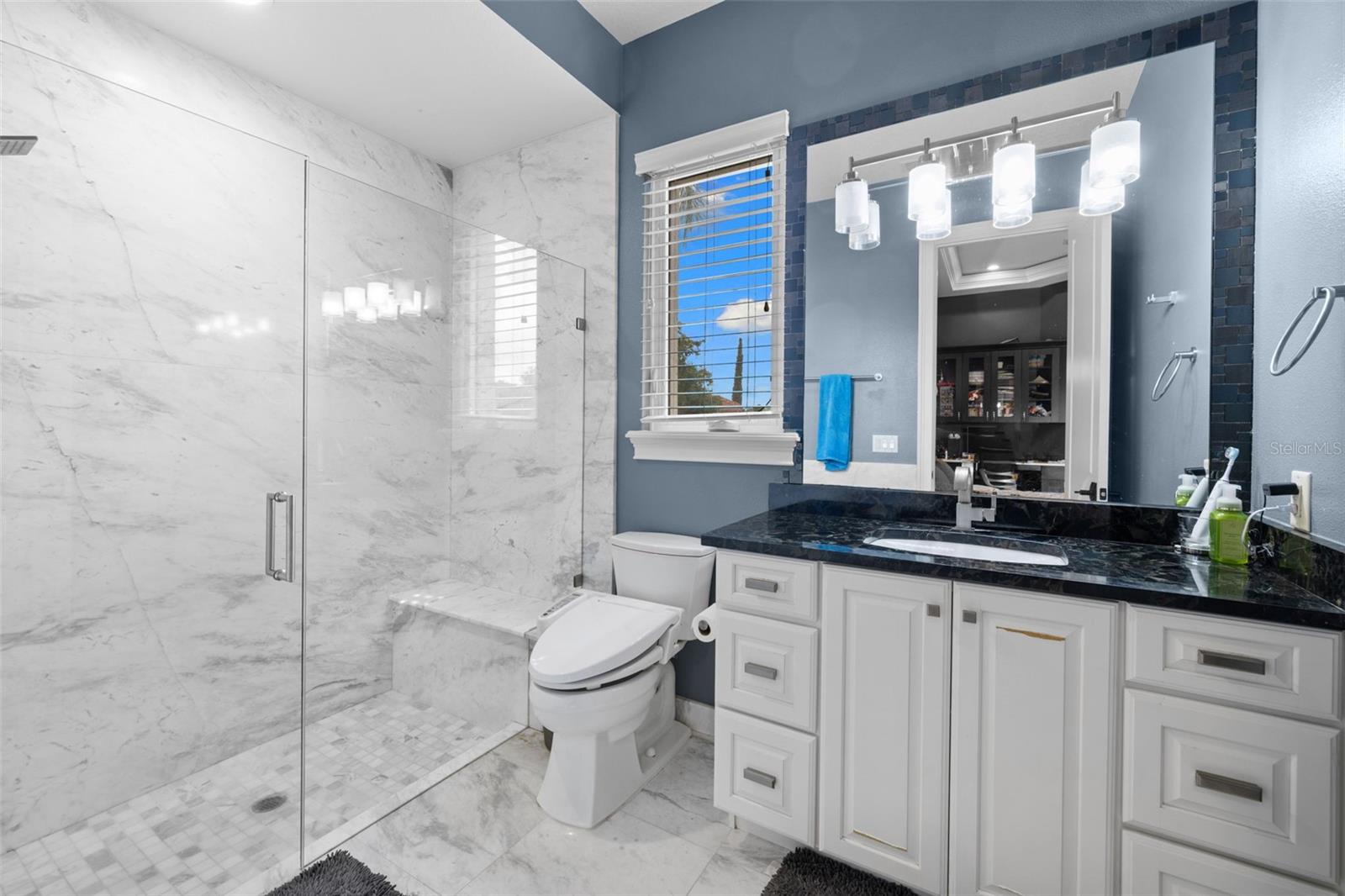 17301 BALLMONT PARK DR, ODESSA, FL, 33556
