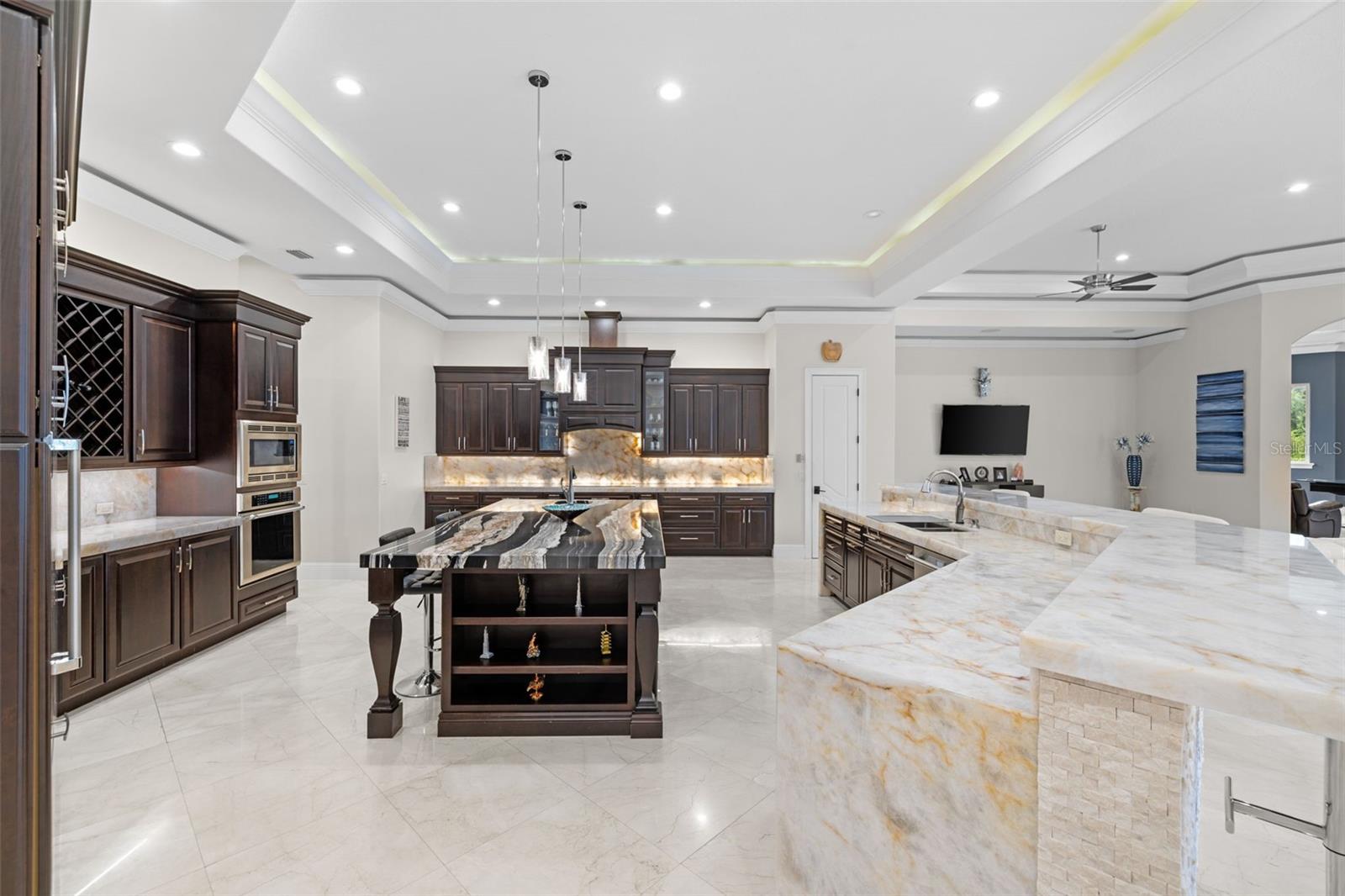 17301 BALLMONT PARK DR, ODESSA, FL, 33556